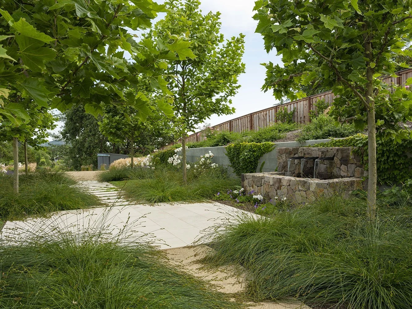 A landscaped backyard garden with a stone pathway, lush green grass, young trees, and a wooden fence in the background.