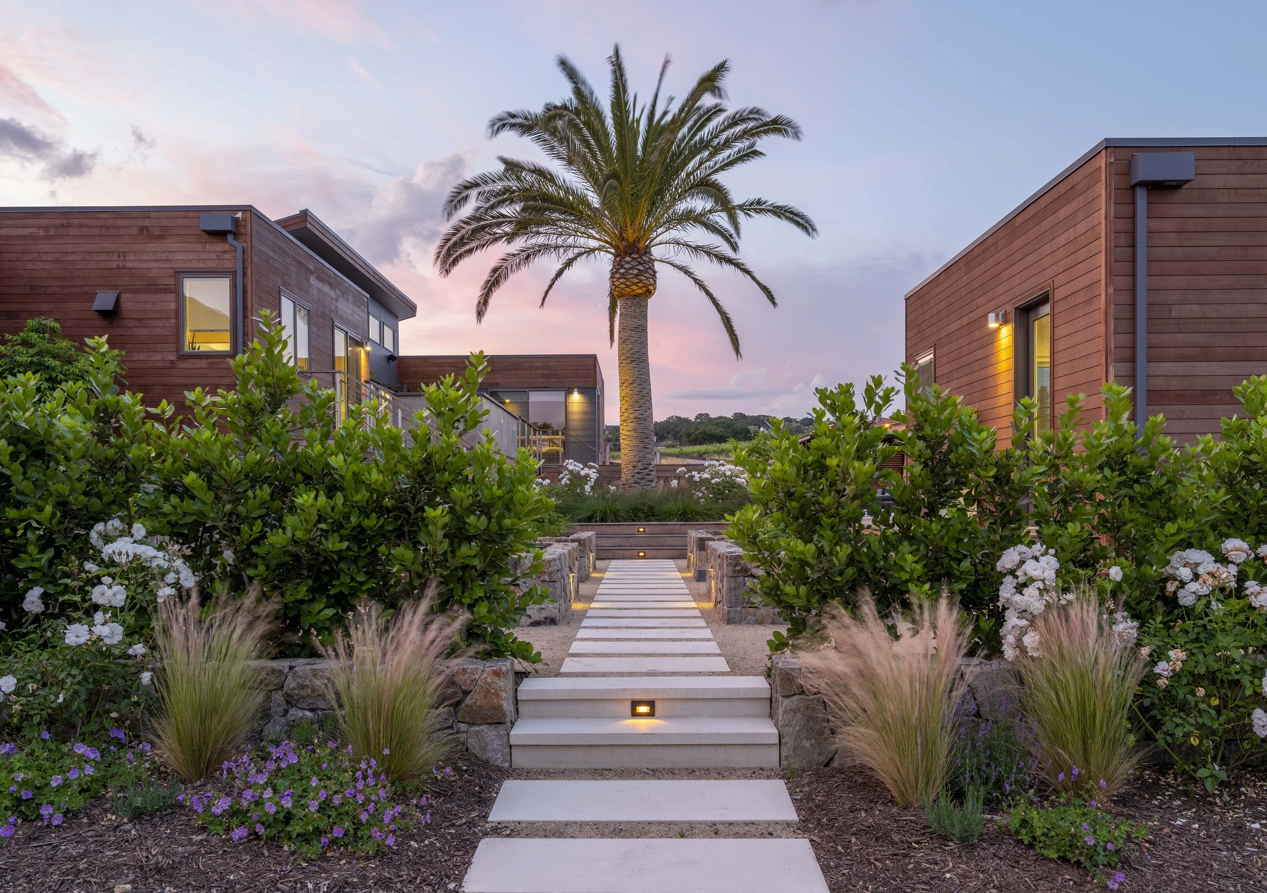 Modern residential buildings with wooden siding and large windows, surrounded by lush greenery, a pathway leading to a tall palm tree, and a sunset sky in the background.
