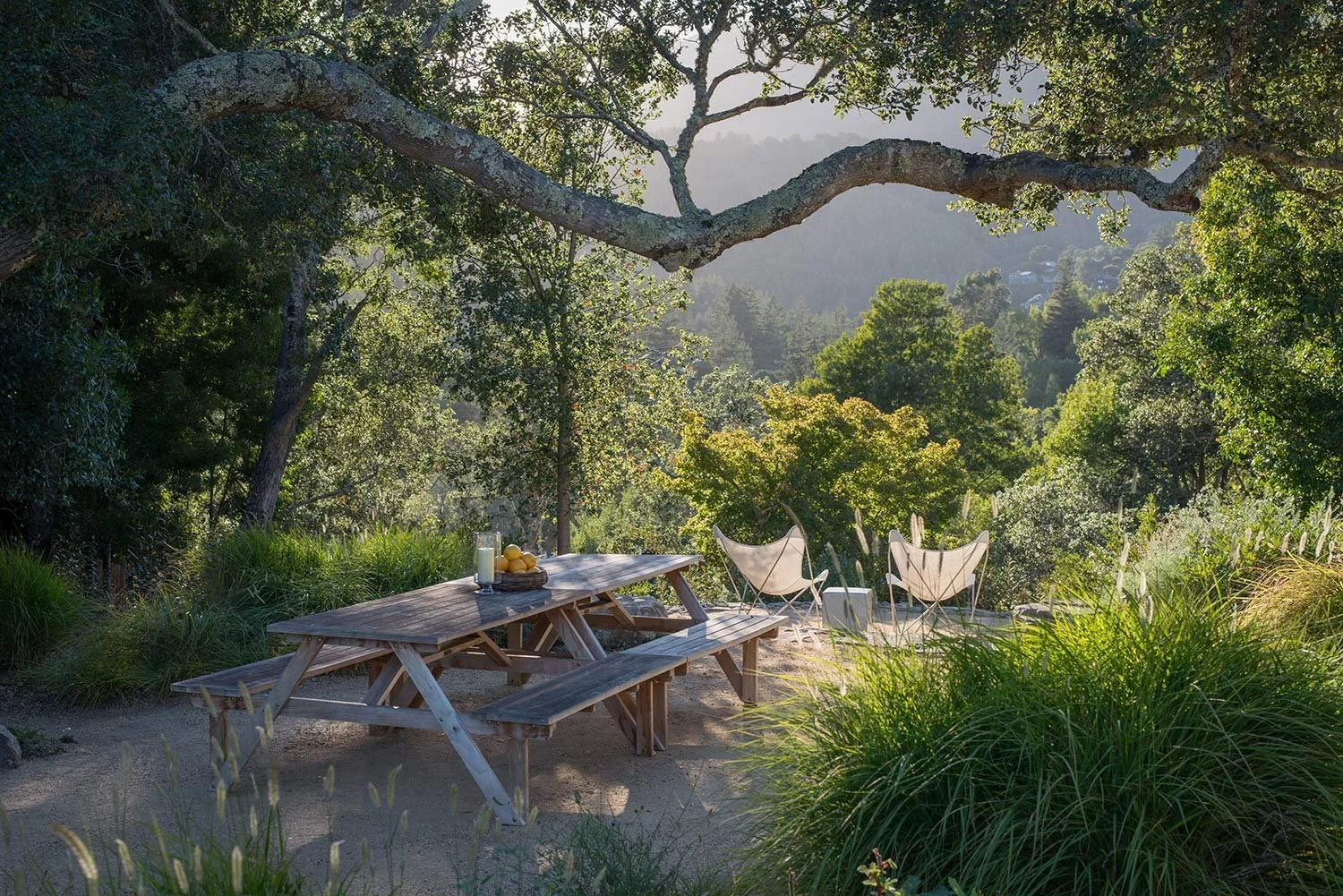 A rustic wooden picnic table with benches is situated outdoors among lush green trees and bushes. A glass of milk, a basket of lemons, and some lemons are placed on the table. In the background, there are two sun chairs and a small table, with mounta