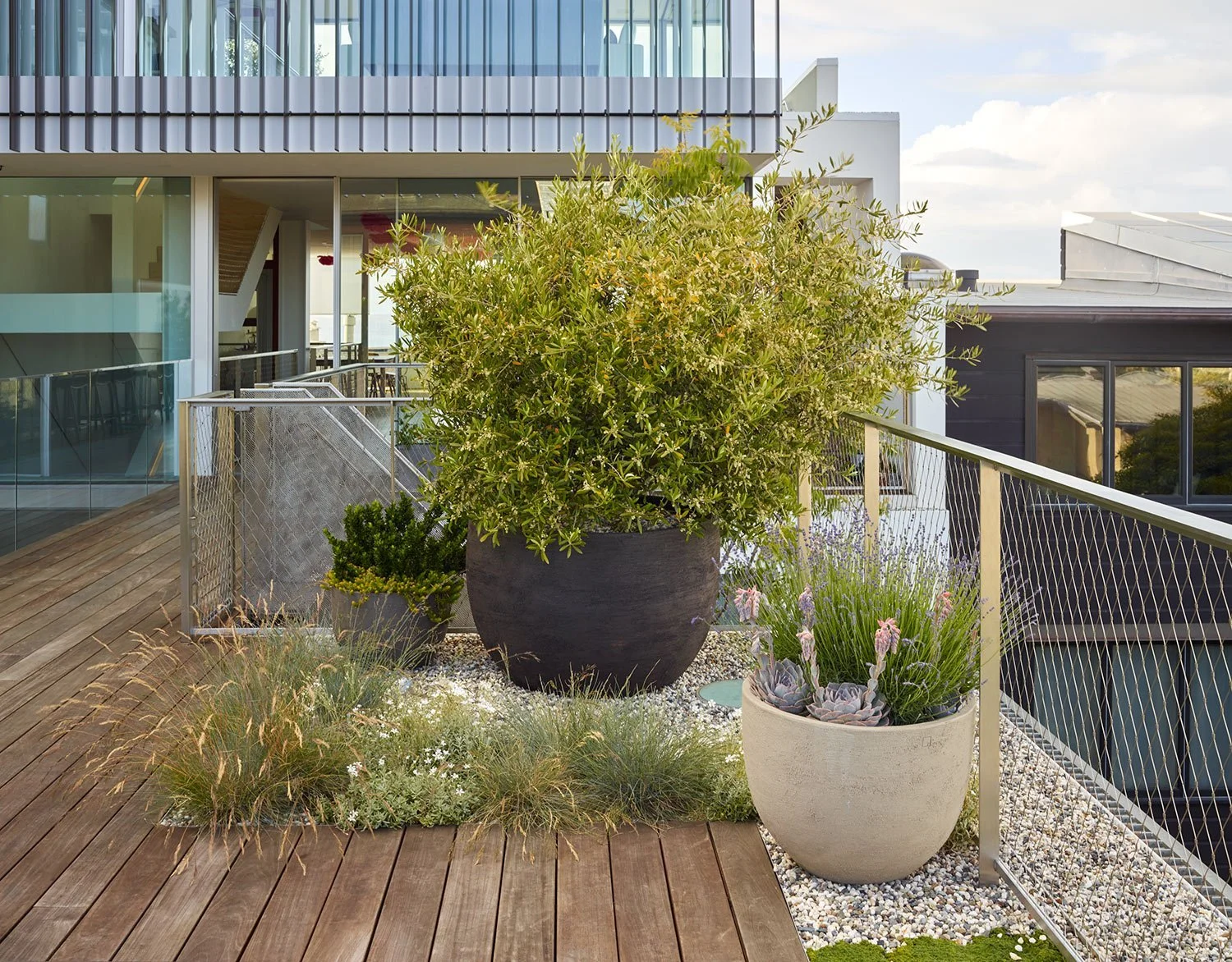 Rooftop terrace with wooden deck, large potted green bush, smaller potted plant, and decorative plants on gravel, enclosed by a wire railing, with modern buildings in the background.