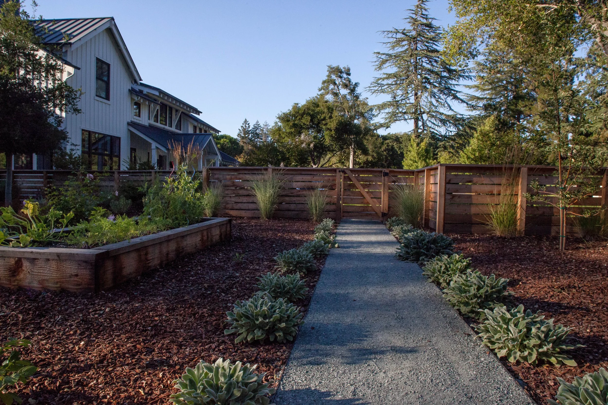 A concrete pathway with succulent plants on both sides leads to a wooden gate, with a modern house and tall trees in the background.