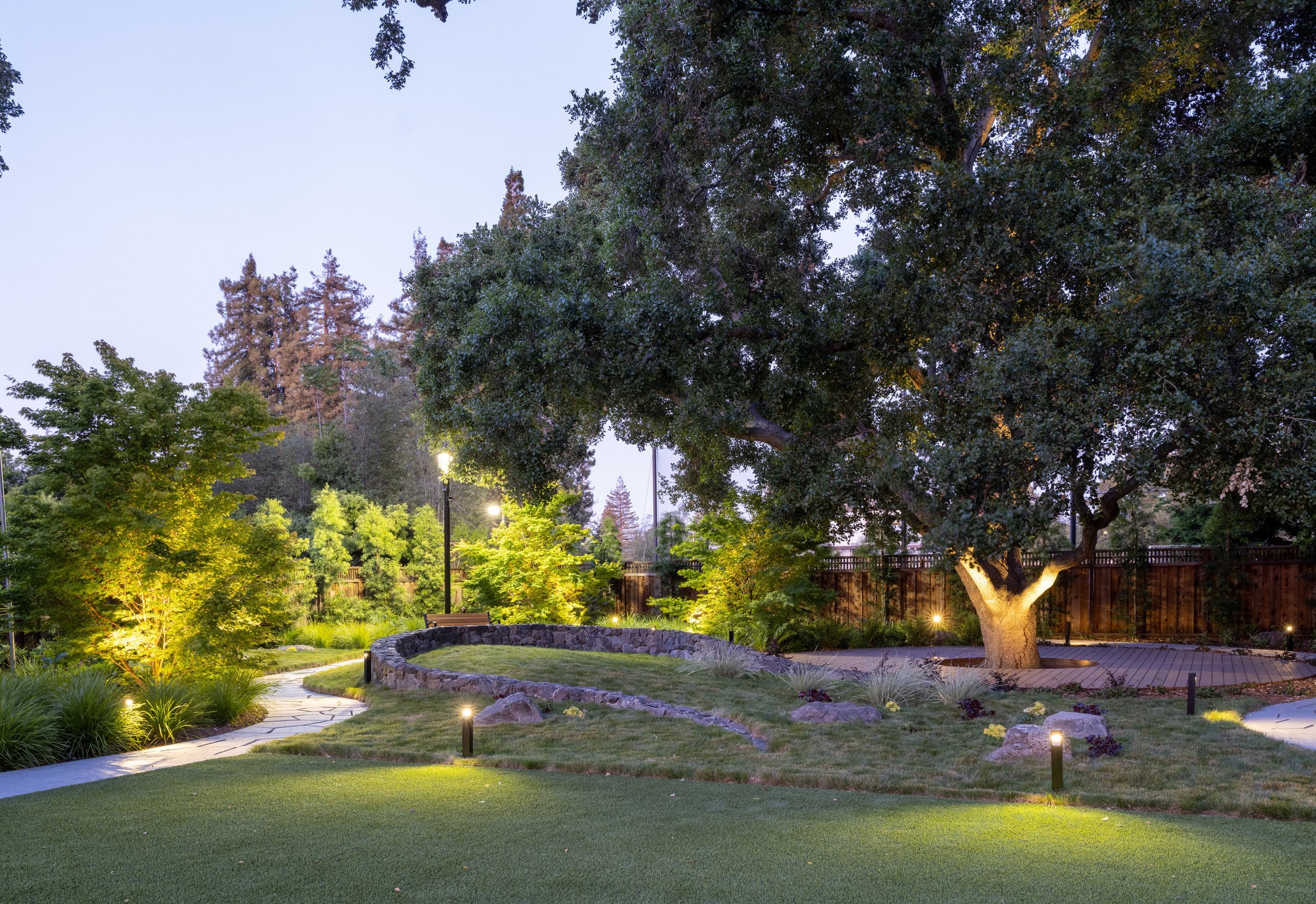 Nighttime view of a landscaped backyard with a large tree, pathway, garden lights, and a fenced perimeter.