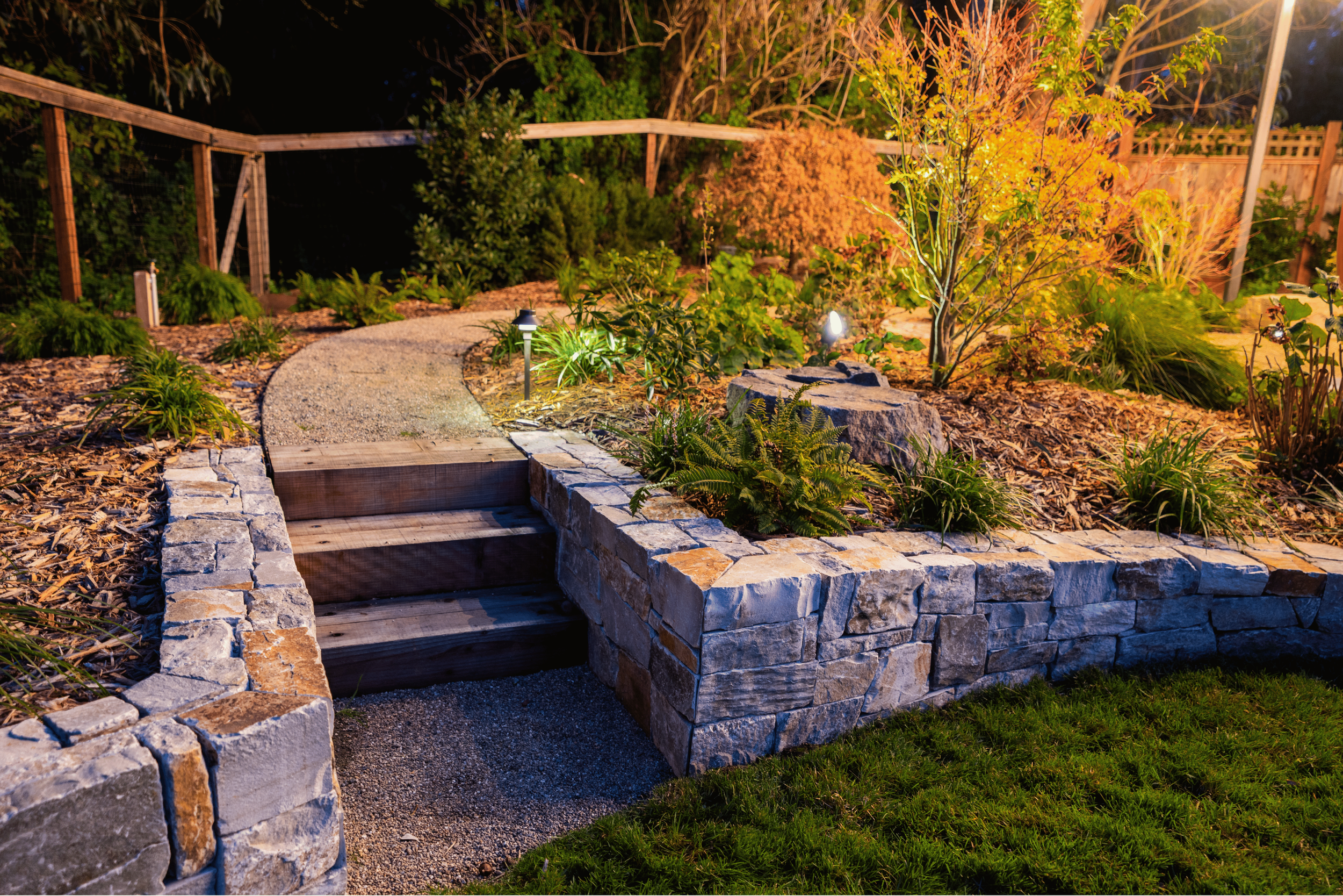 Nighttime illuminated backyard garden with a stone and wood pathway, surrounded by plants, shrubs, and a small tree, with landscape lighting.