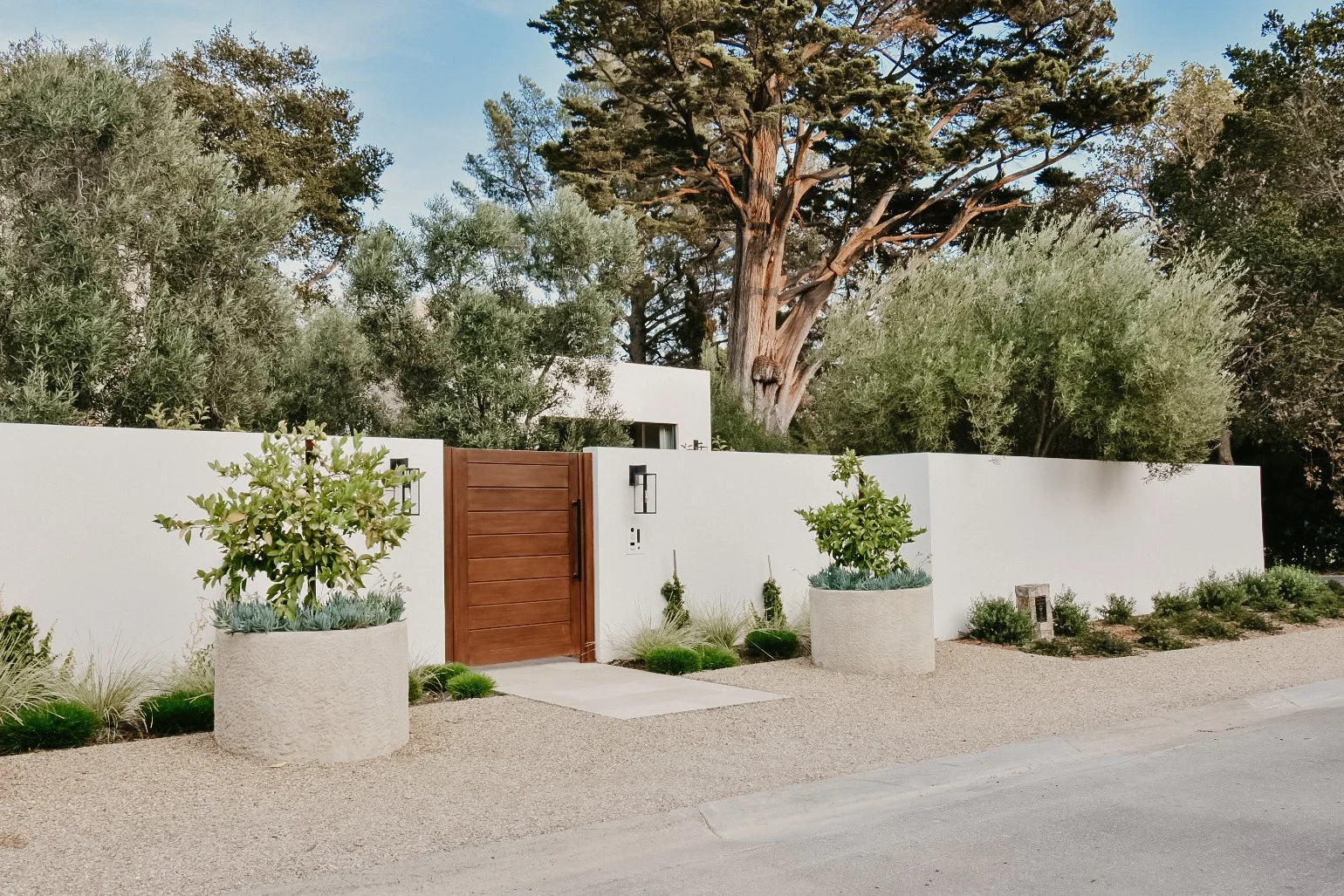 Modern house entrance with white wall, wooden gate, decorative plants, and large trees in the background.