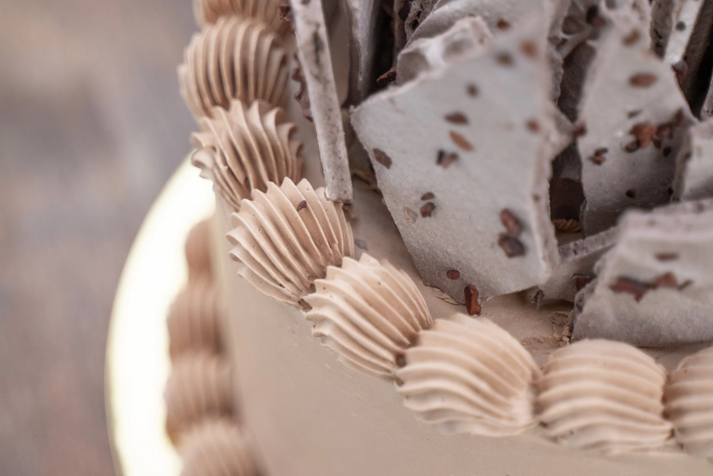 ChocolateMeringueCake (6 of 6).jpg