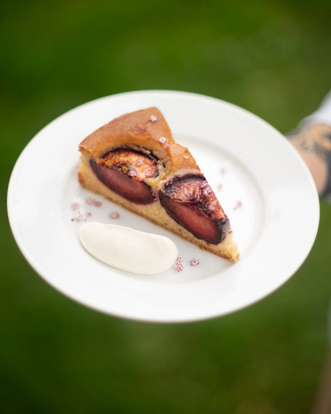 A slice of gluten free, dairy free plum sponge cake with white cream on a white plate and elderflowers, set against a green background.