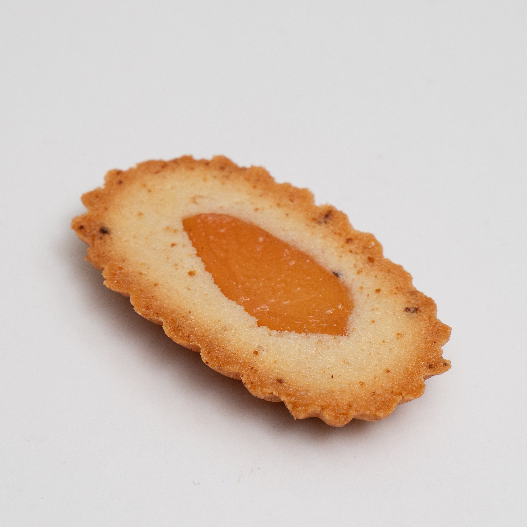 Financiers (7 of 13).jpg