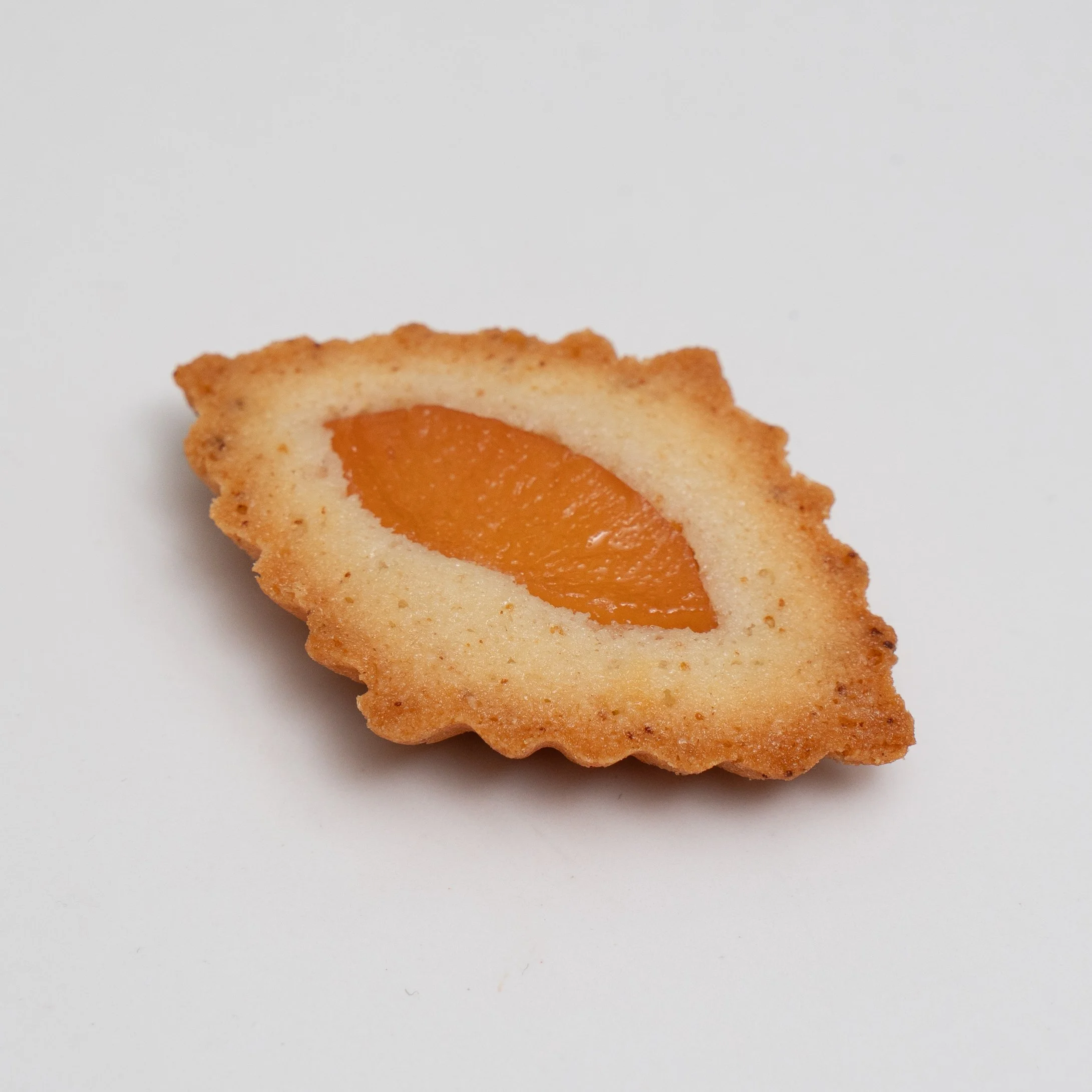 Financiers (8 of 13).jpg