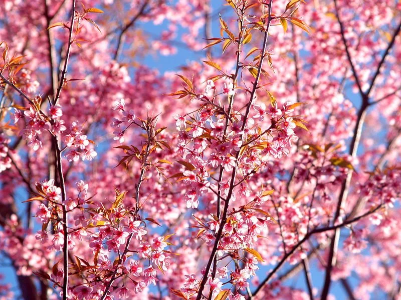 You Will Harvest What You Plant