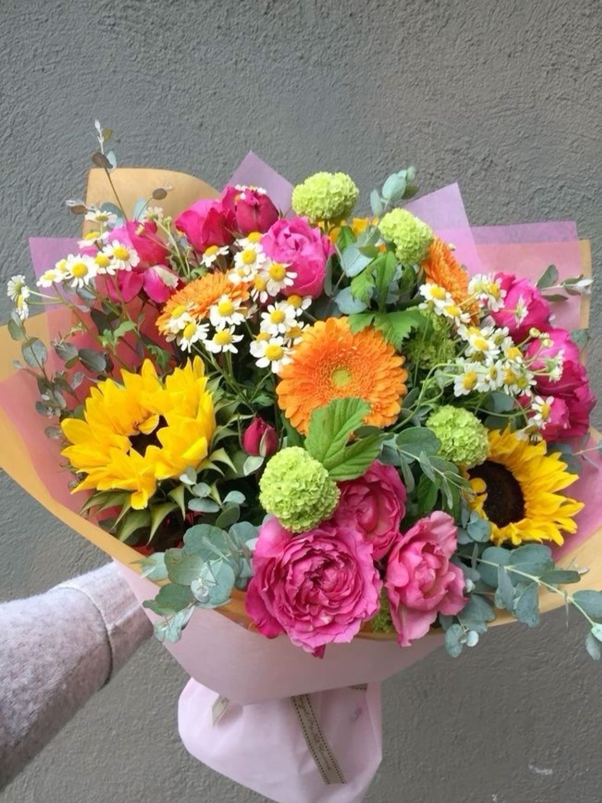 Welcome to NEW-VEMBER