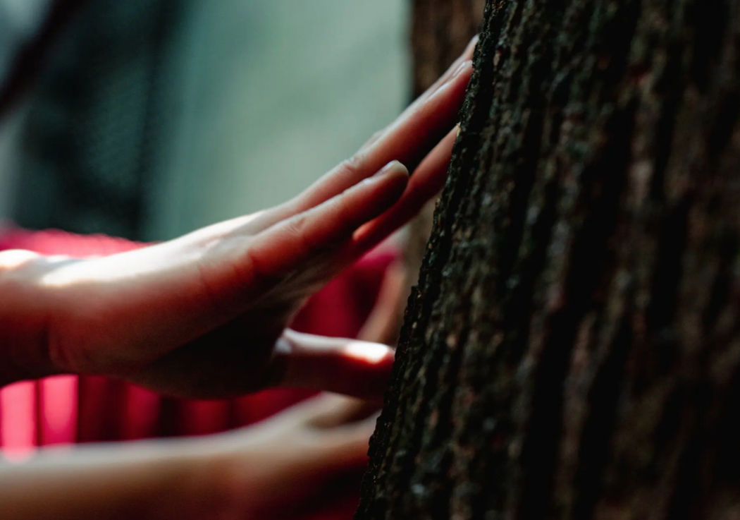 Photo by Shuran Huang for the NY Times