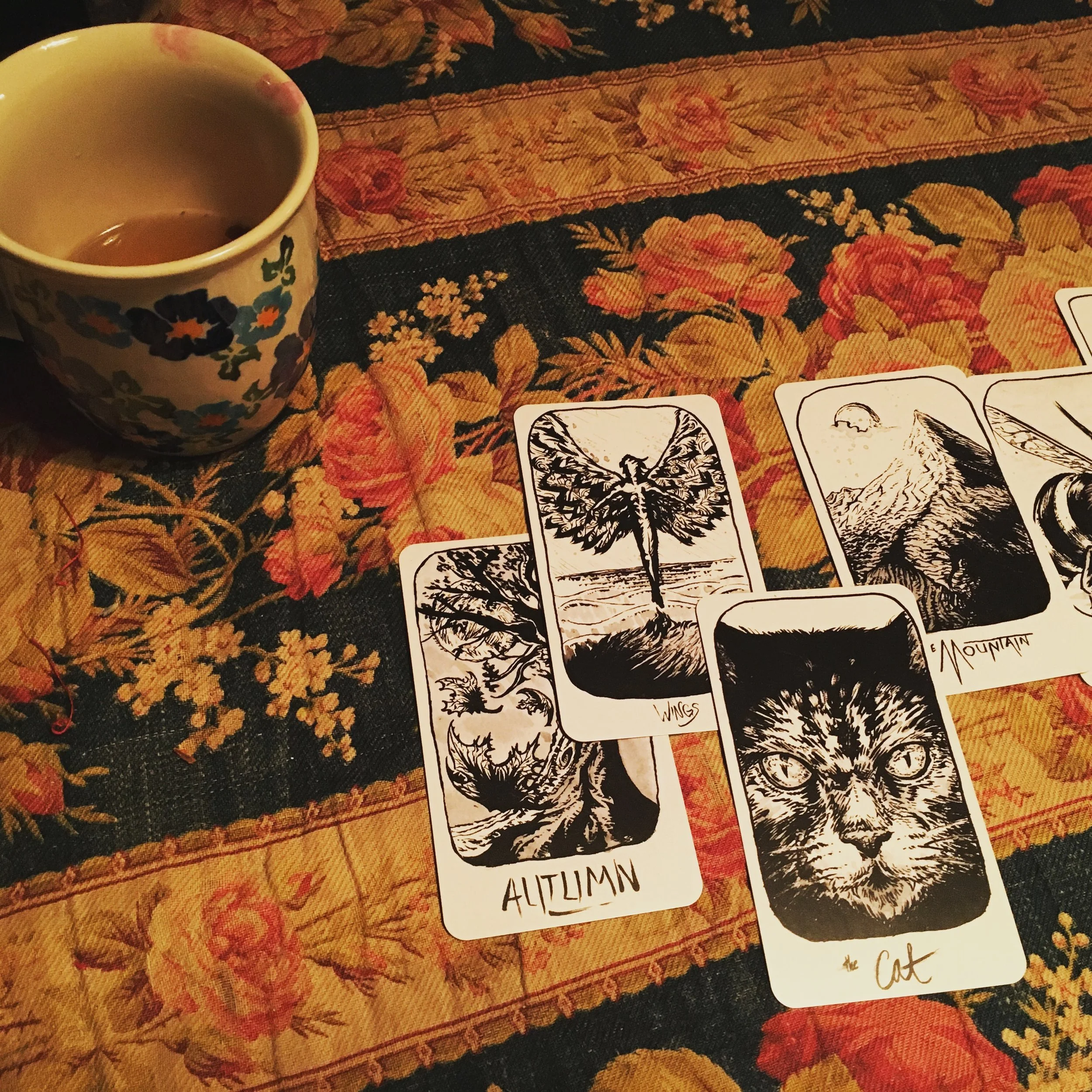 Old Bones card reading.jpeg