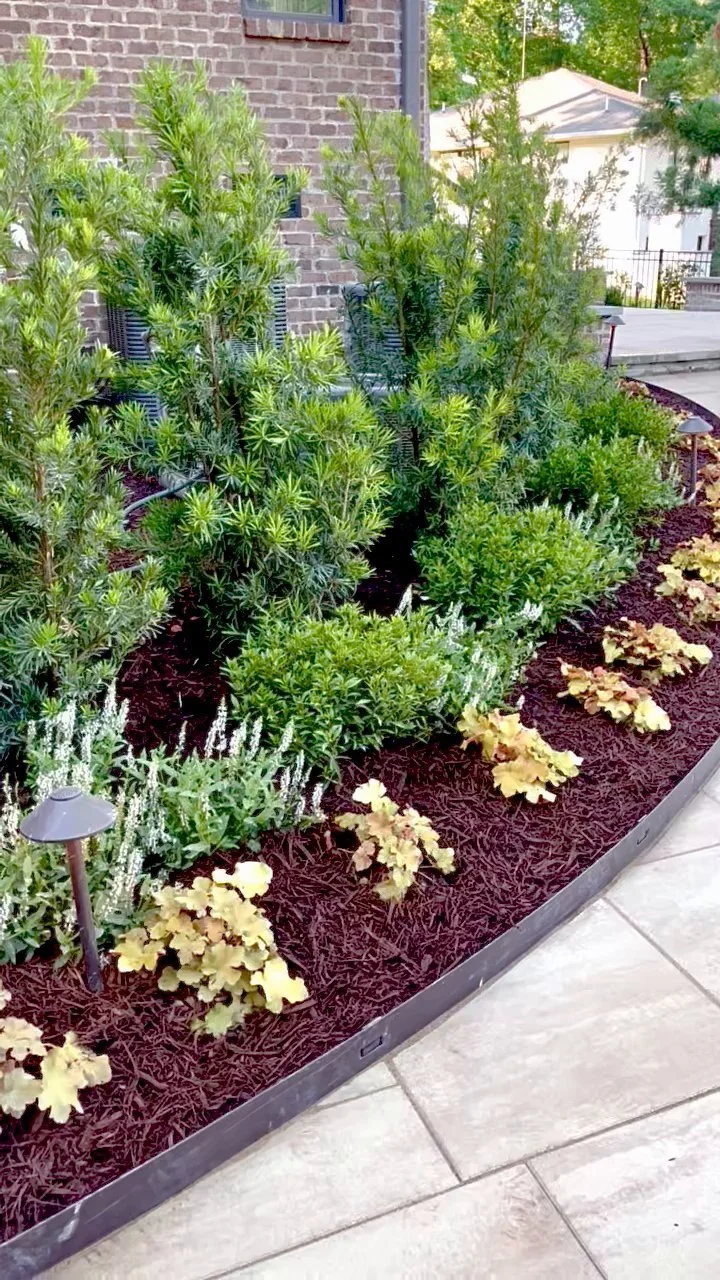 06-curved-walk-steel-edging-heuchera.jpg