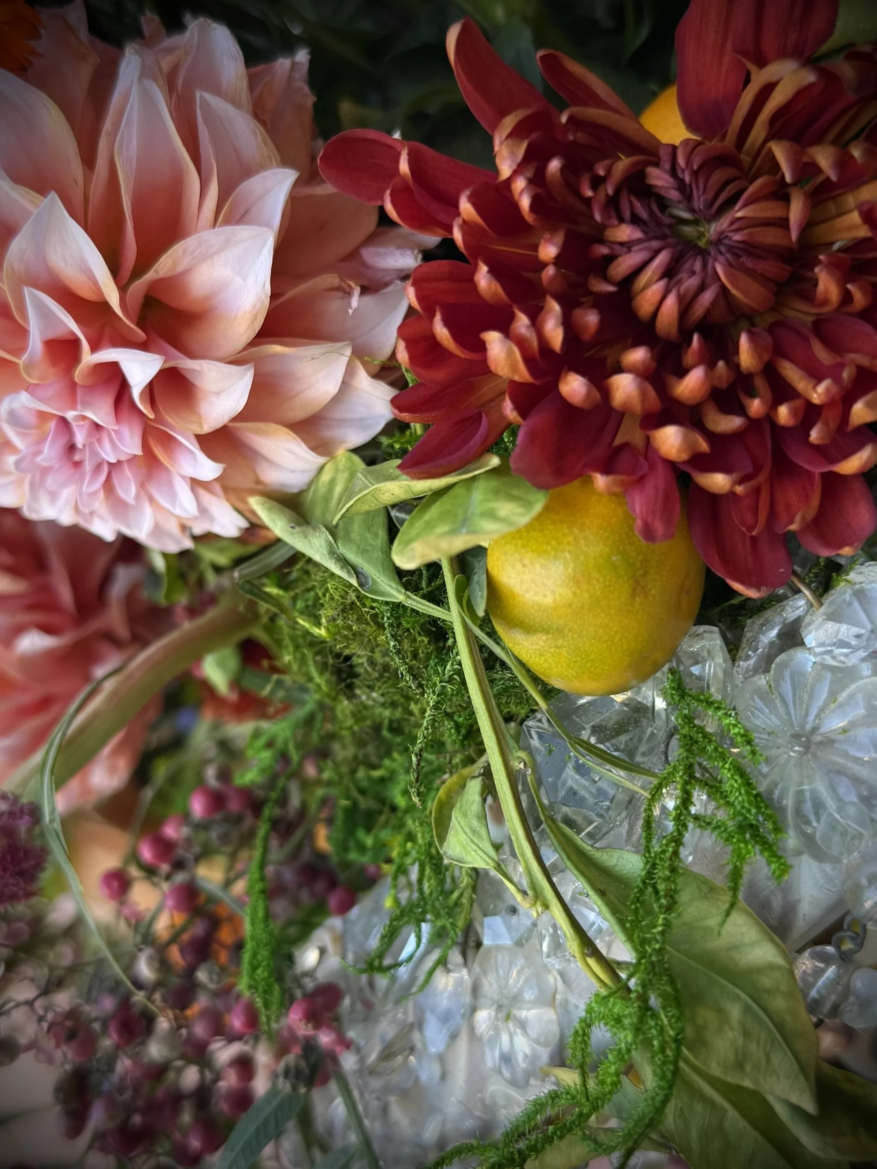 07-crystal-moss-citrus-detail.jpg