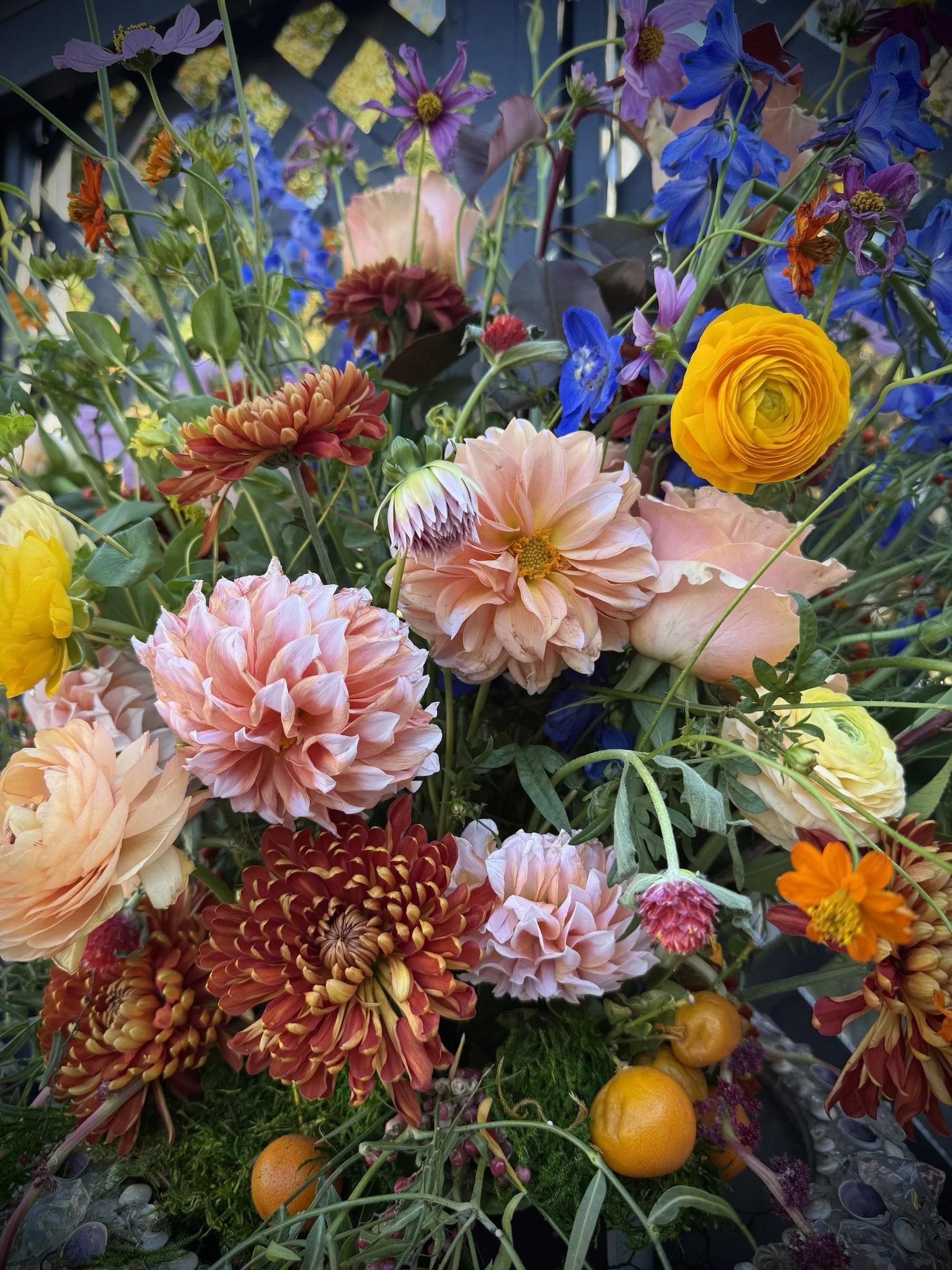 05-dahlias-mums-kumquats.jpg
