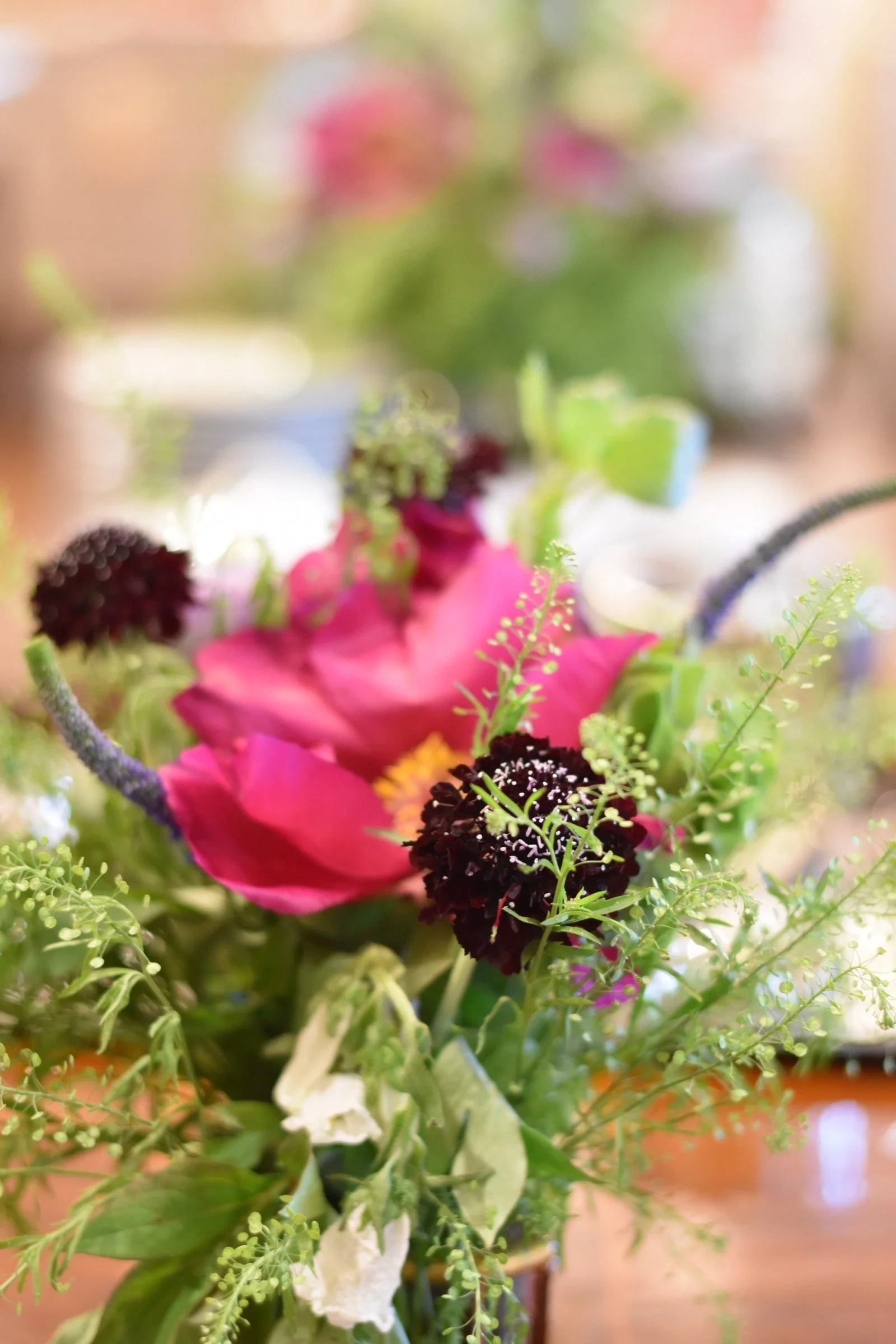 08-peony-chocolate-scabiosa.jpg