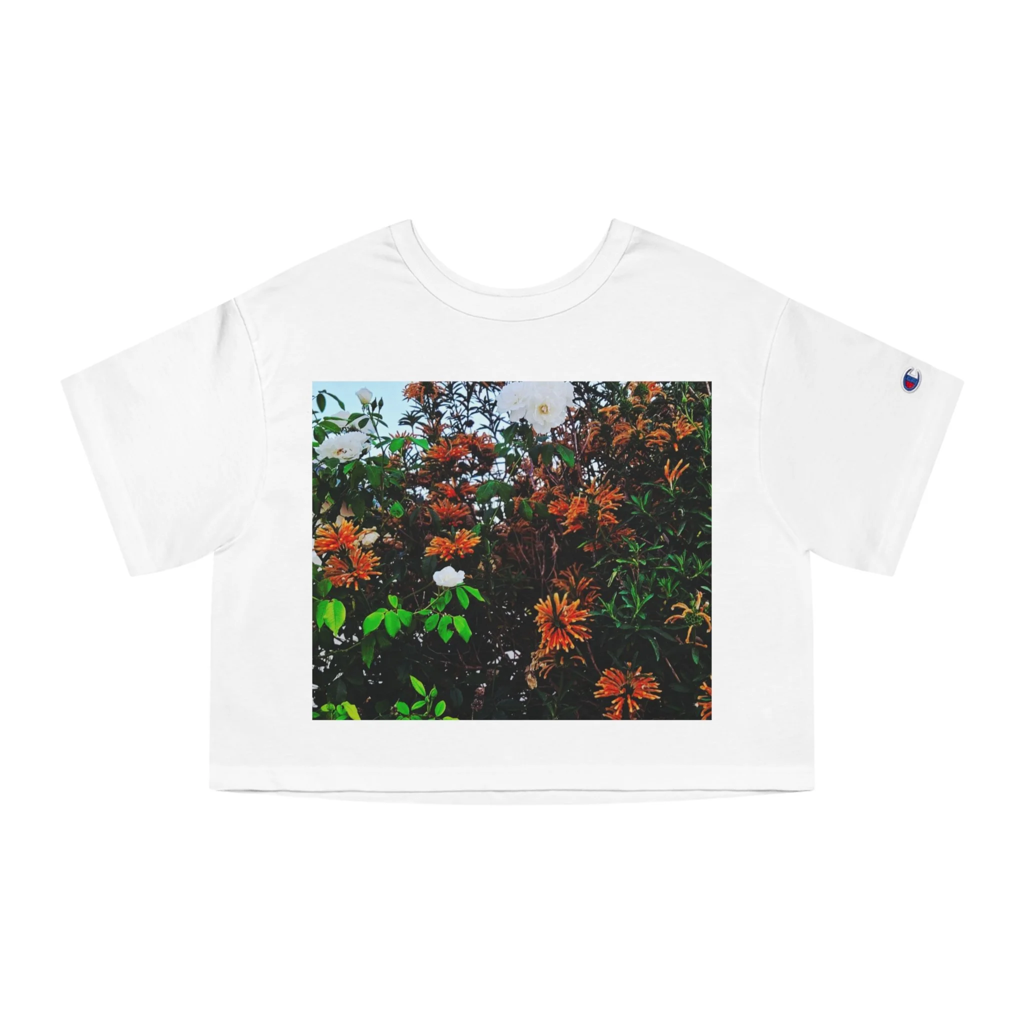 Lion's Tale Crop Tee