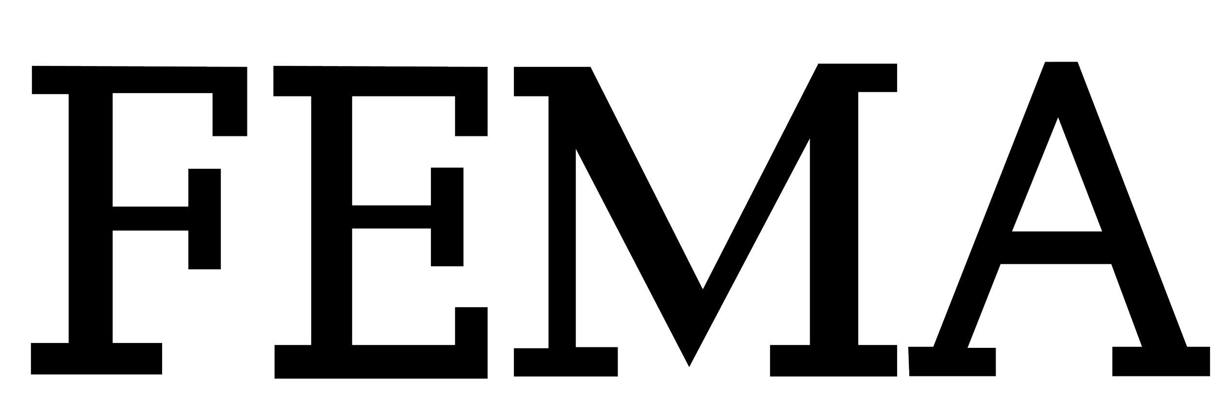 FEMA logo in bold, black text on a transparent background.