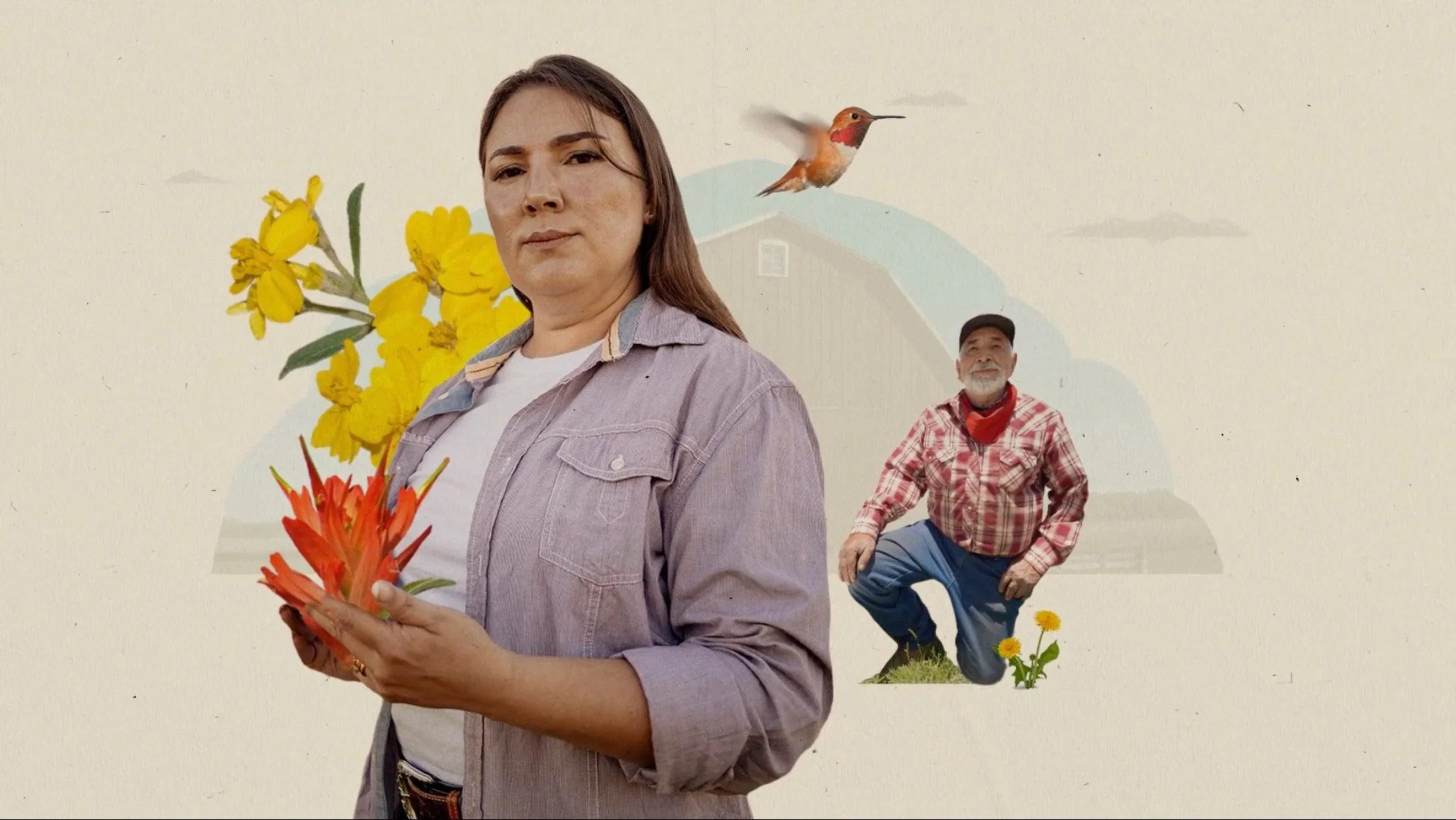 A woman holding red flowers stands in front of a background with yellow flowers, a flying hummingbird, and a man in a red plaid shirt with a cap, kneeling on one knee, with small yellow flowers nearby.