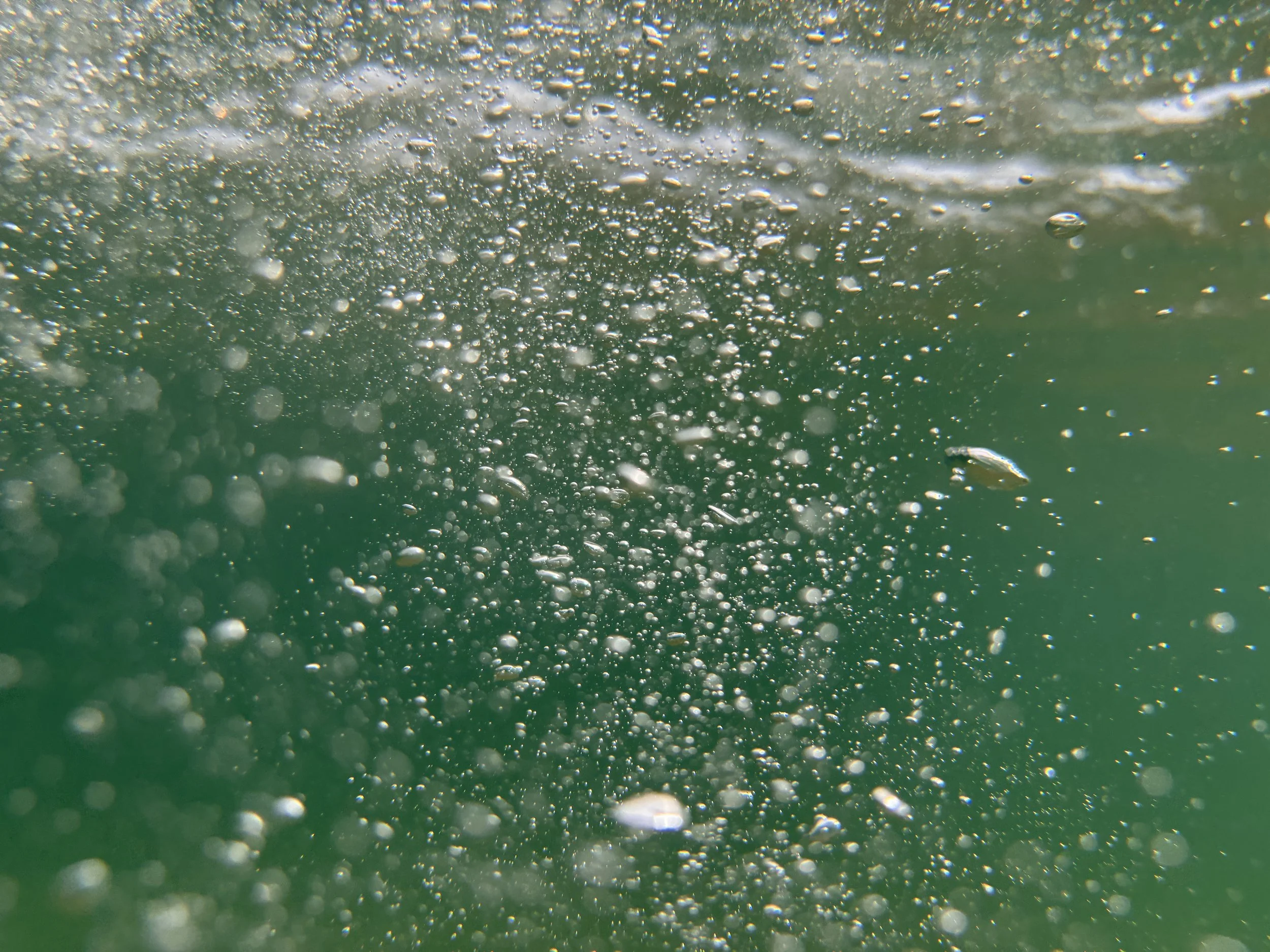 Underwater Serenity: ChromaLuxe Photo Trio