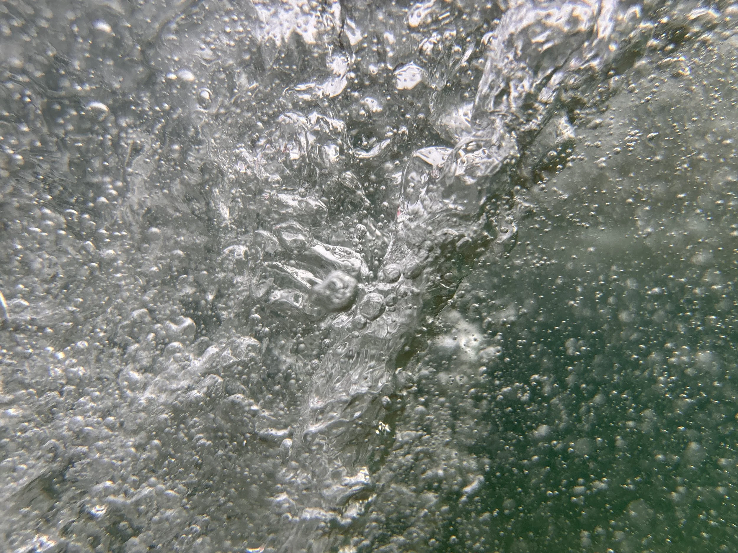IMG_2486.JPG