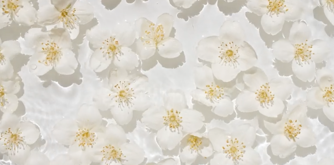 Screenshot 2026-01-25 at 4.12.48 PM.png