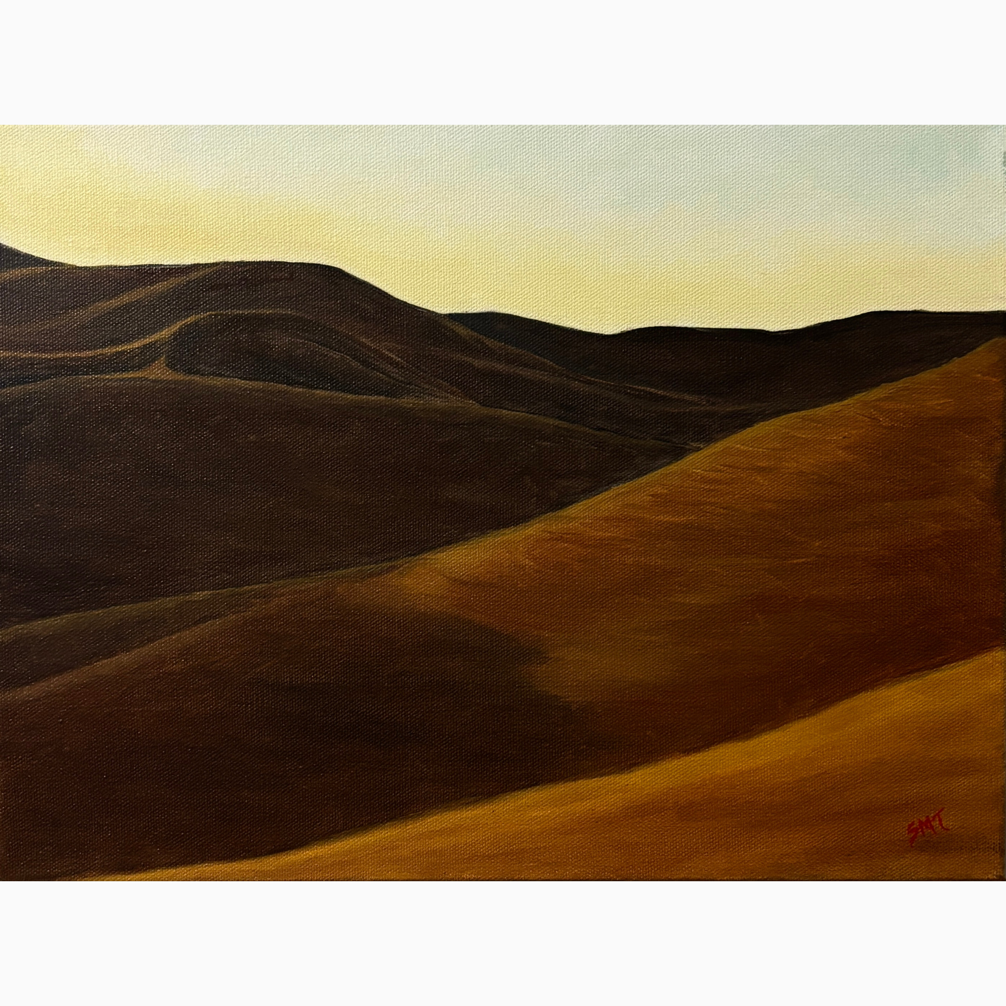 A DANCE OF DUNES