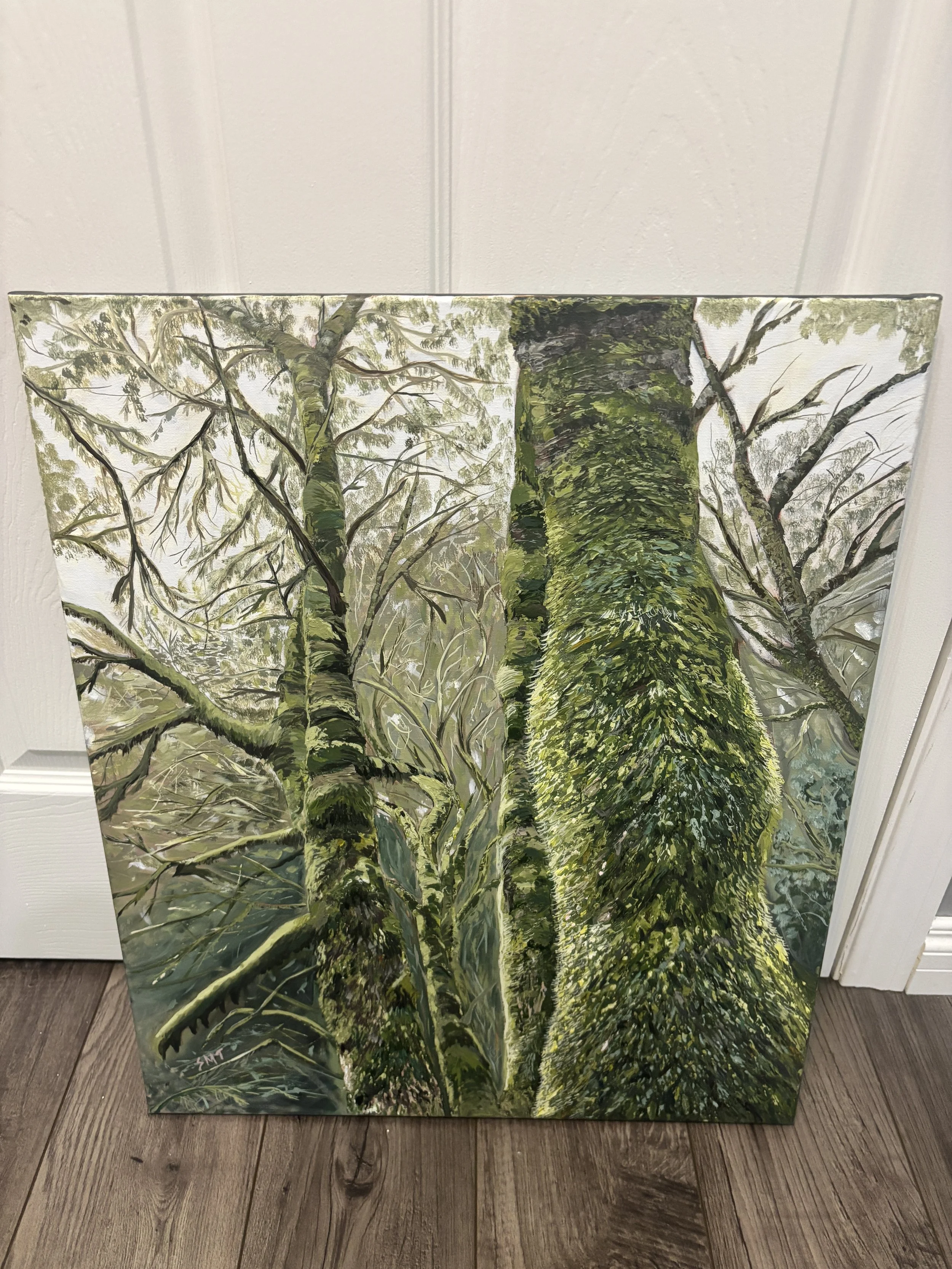 Hallowed Grounds | 24" x 20" Acrylic on Canvas | There is something truly magical about the mossy forests of B.C. They feel ancient and sacred, as though time moves more slowly beneath their canopy. This painting had been calling to me ever since a t