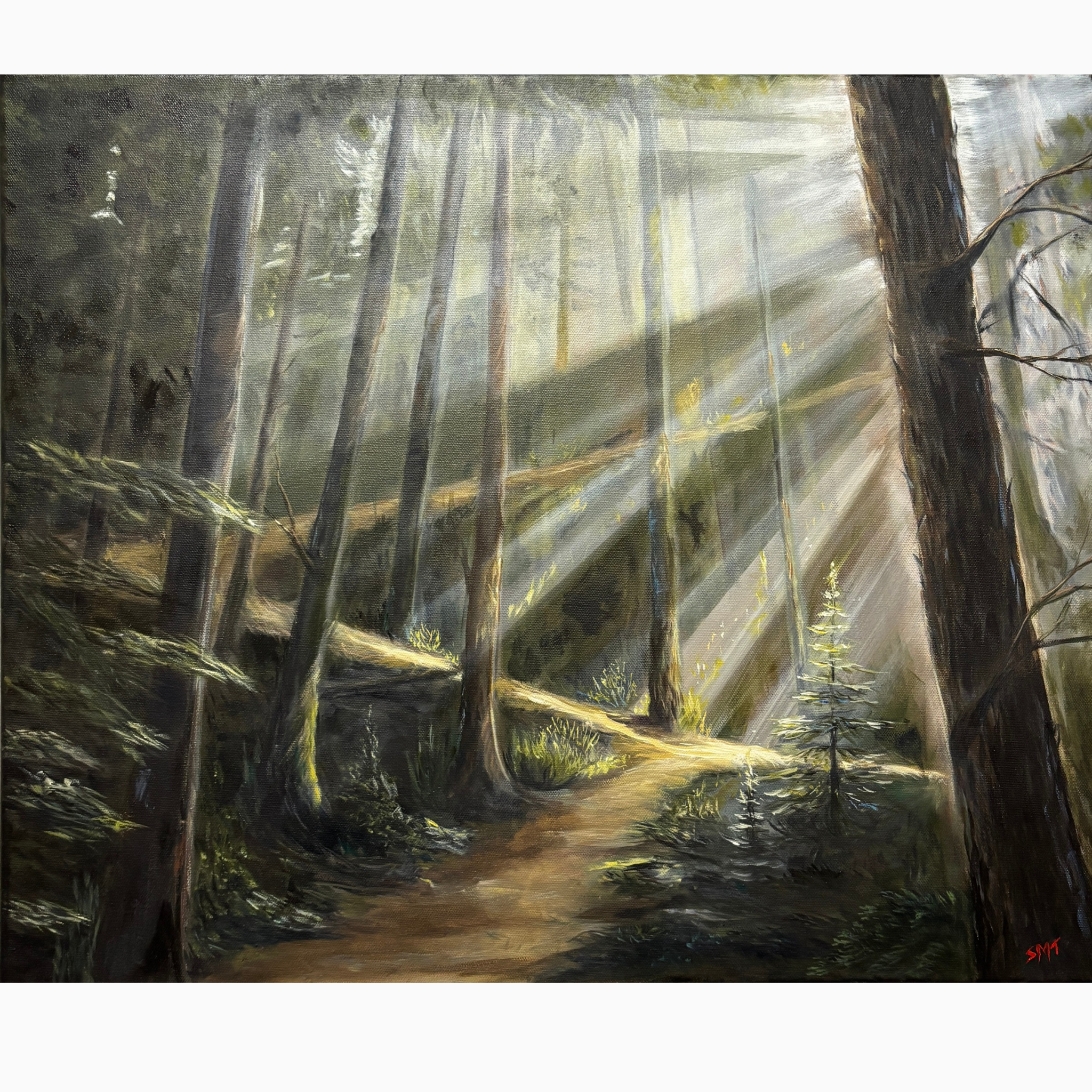 Where the light finds you_Cover.png