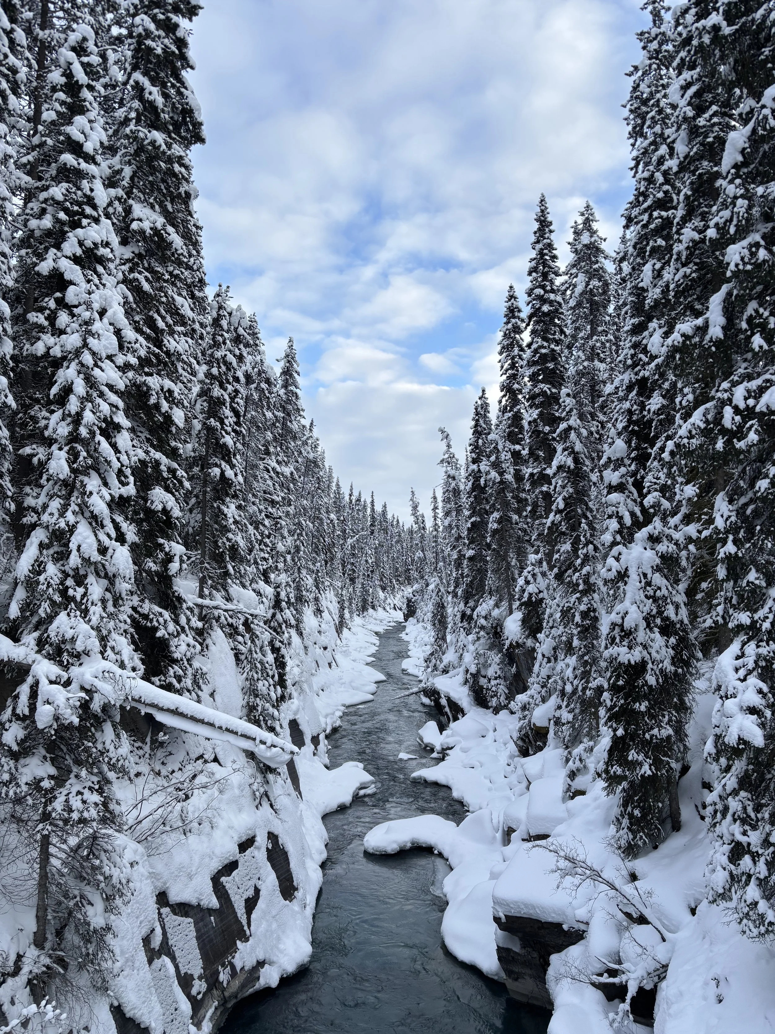 Snow-covered trees lining a river in a winter landscape with clouds in the sky.