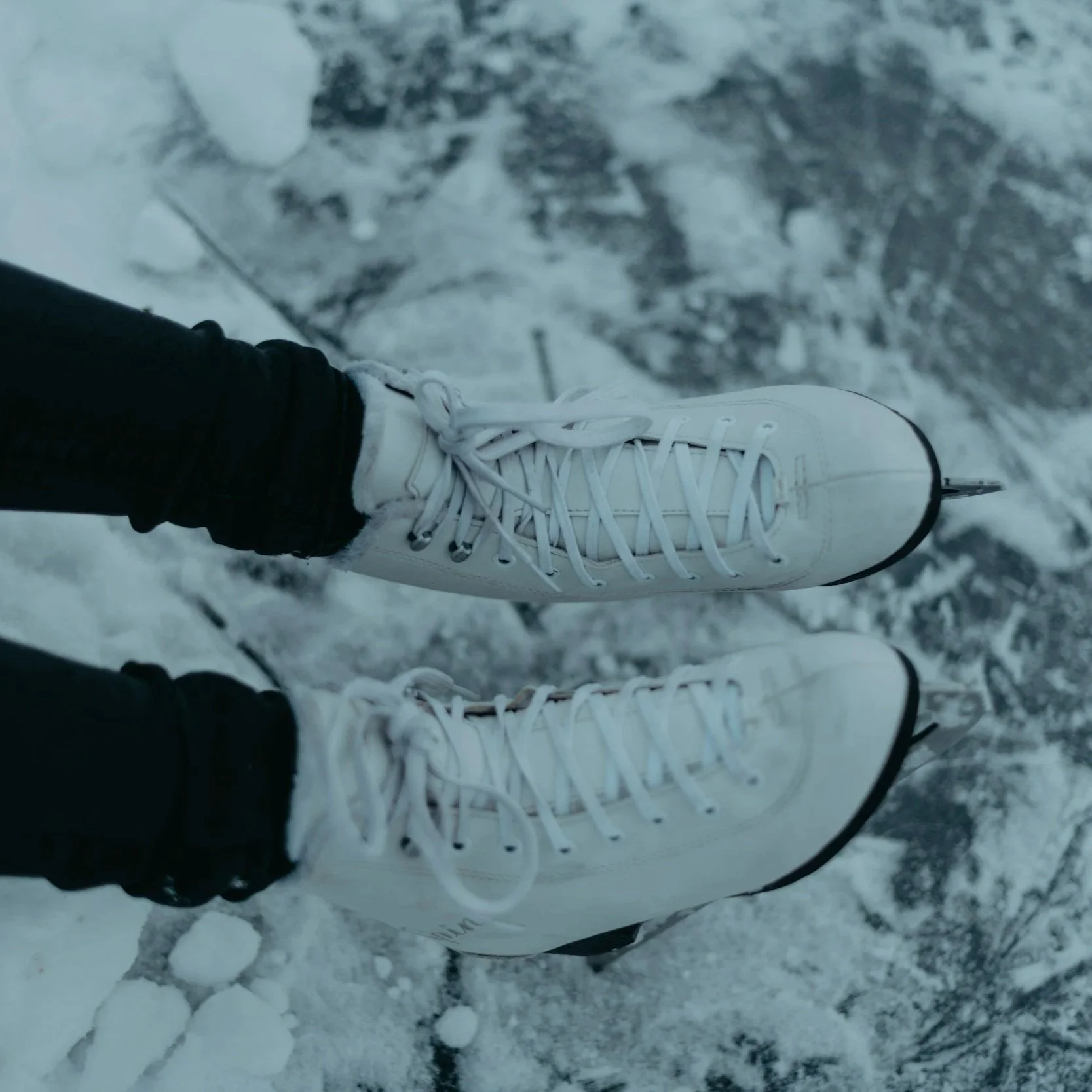 From Title IX to Milano Cortina: Why American Women’s Olympic Dominance Is No Accident