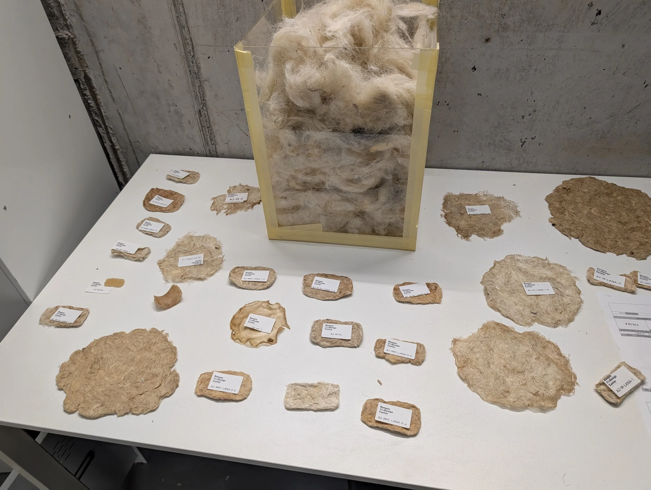 BBDC_wood cellulose with wool.jpg