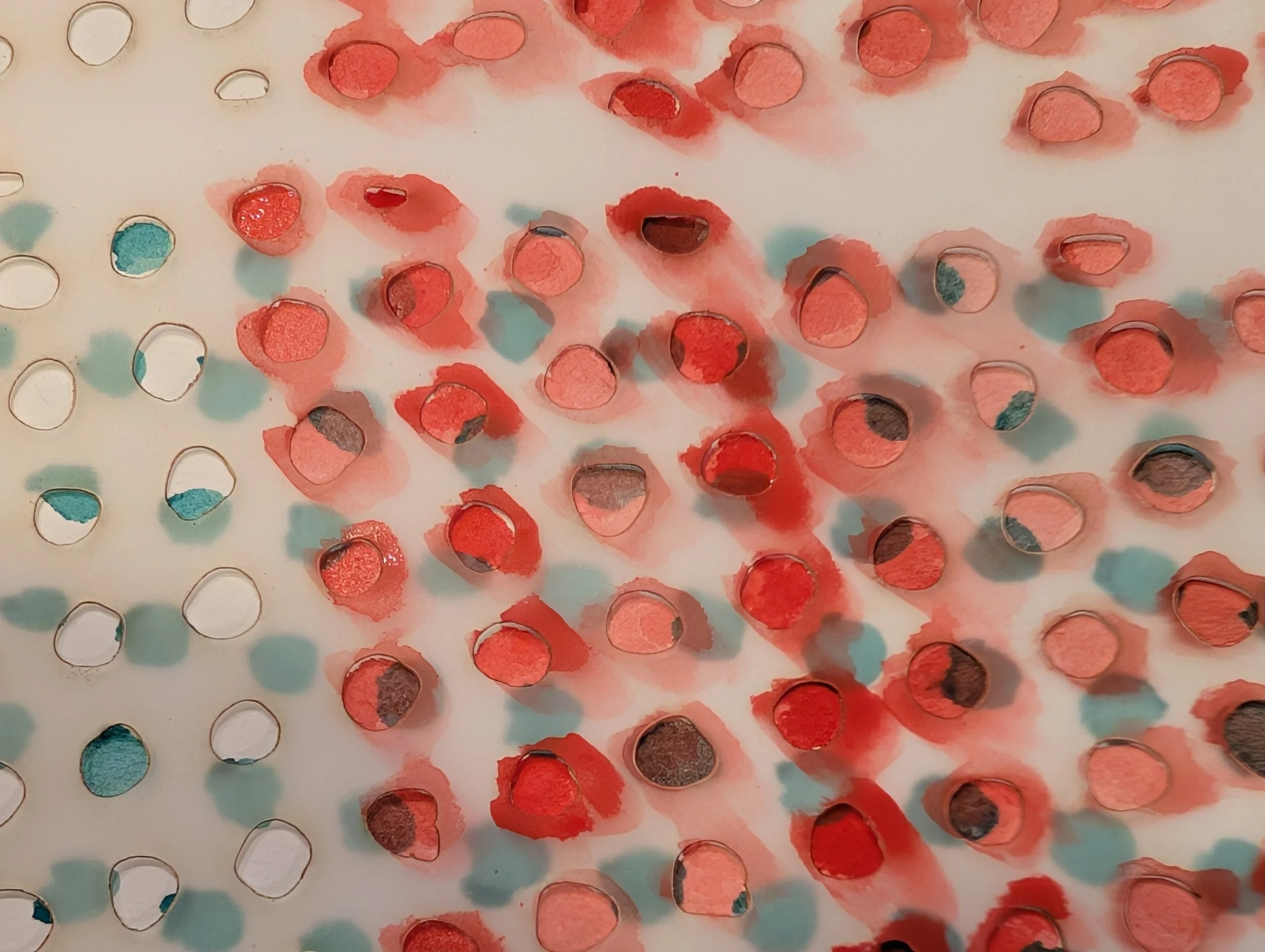 BBDC spirulina test_01.jpg