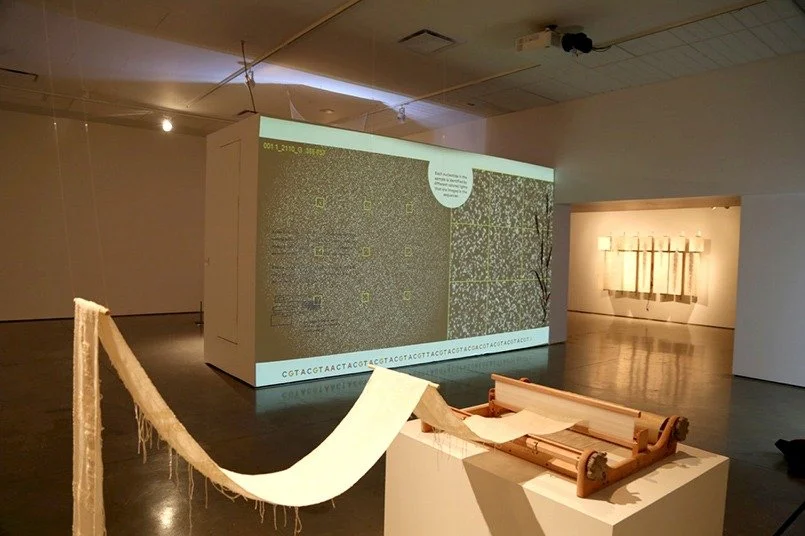 Visualizing_Physicalizing Agriculture