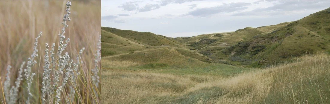 Field Notes Collective