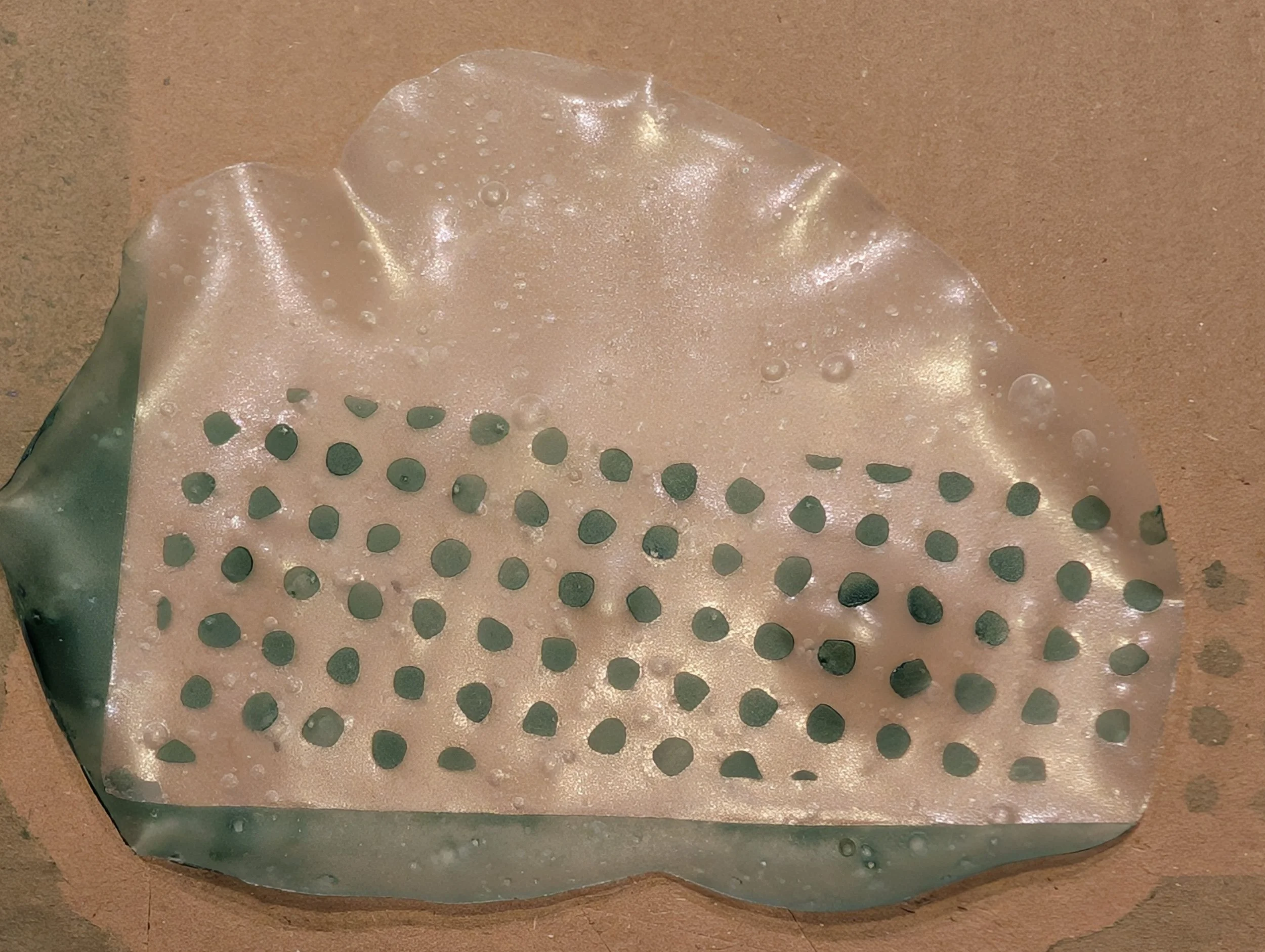 BBDC spirulina test_02.jpg