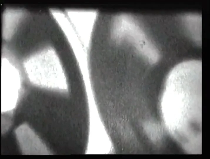 You Are Watching: A Film On Brecht (2000)