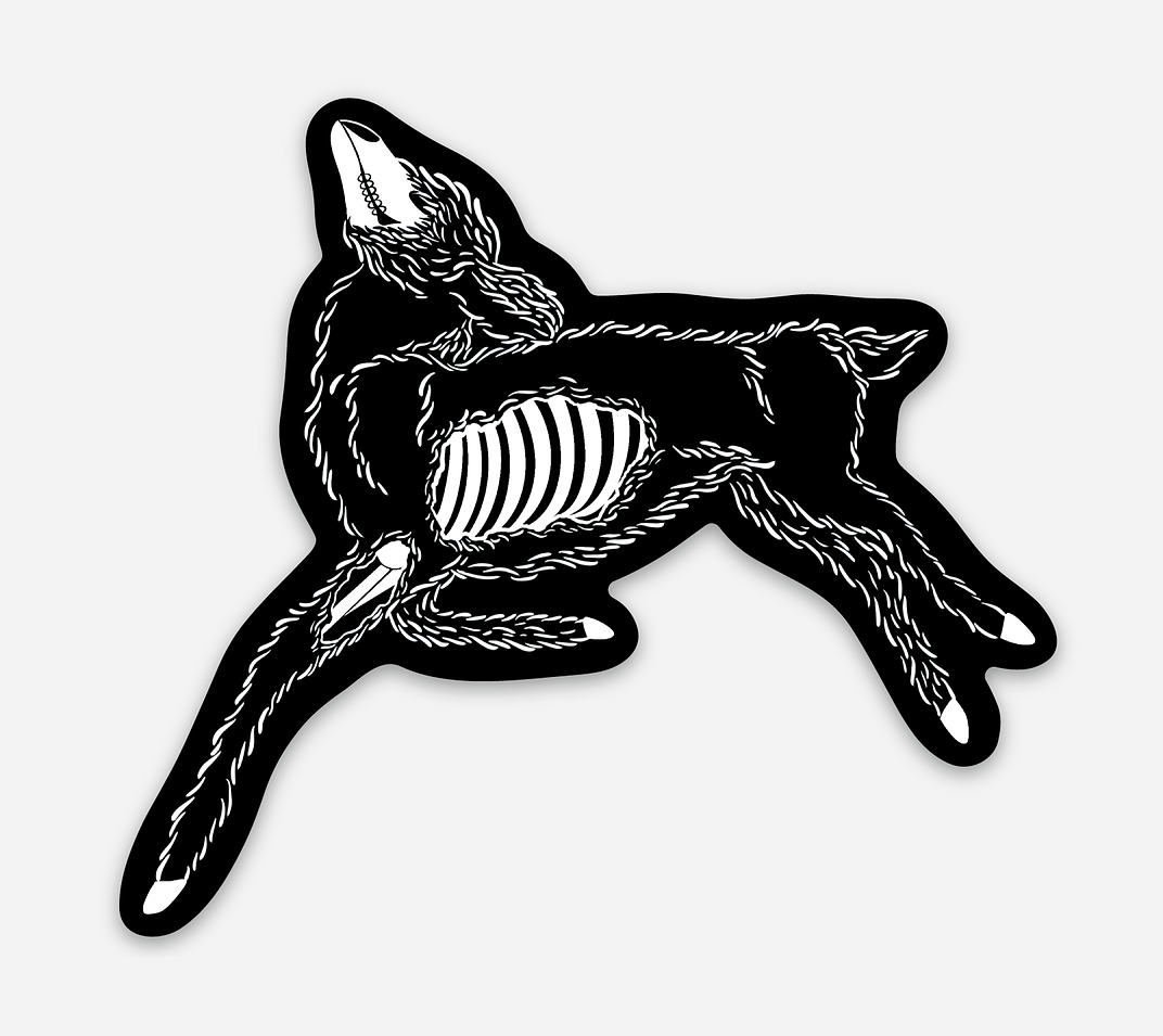 Screenshot 2026-01-12 at 12.46.08 PM.png