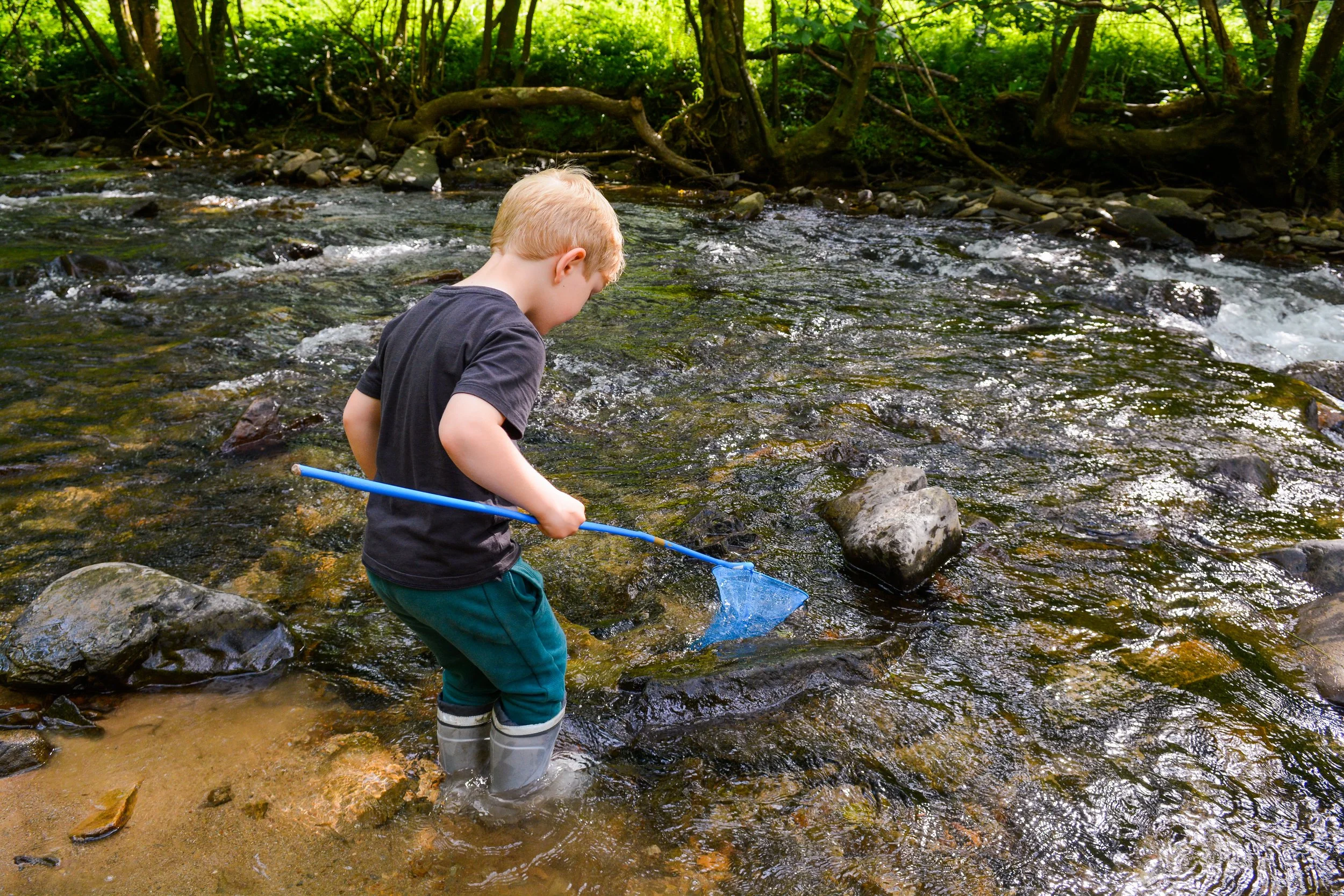 Fun, Screen-Free Ways Kids Can Explore Nature This Spring