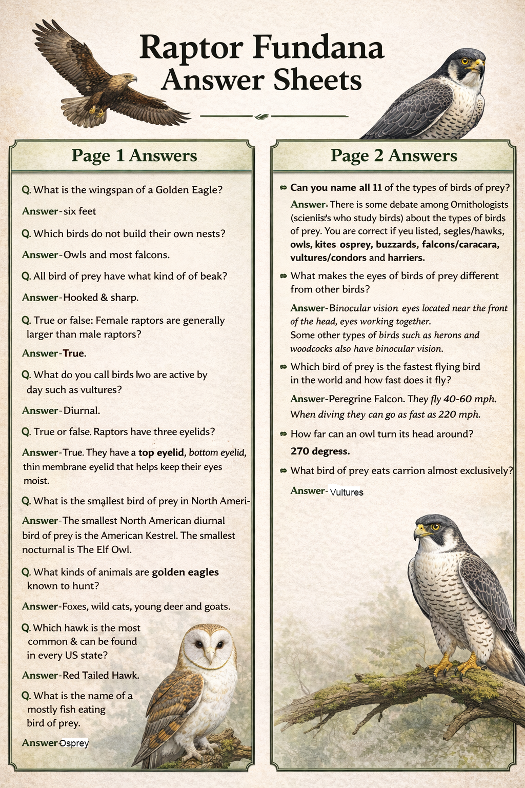 Raptor answer sheet for website.png