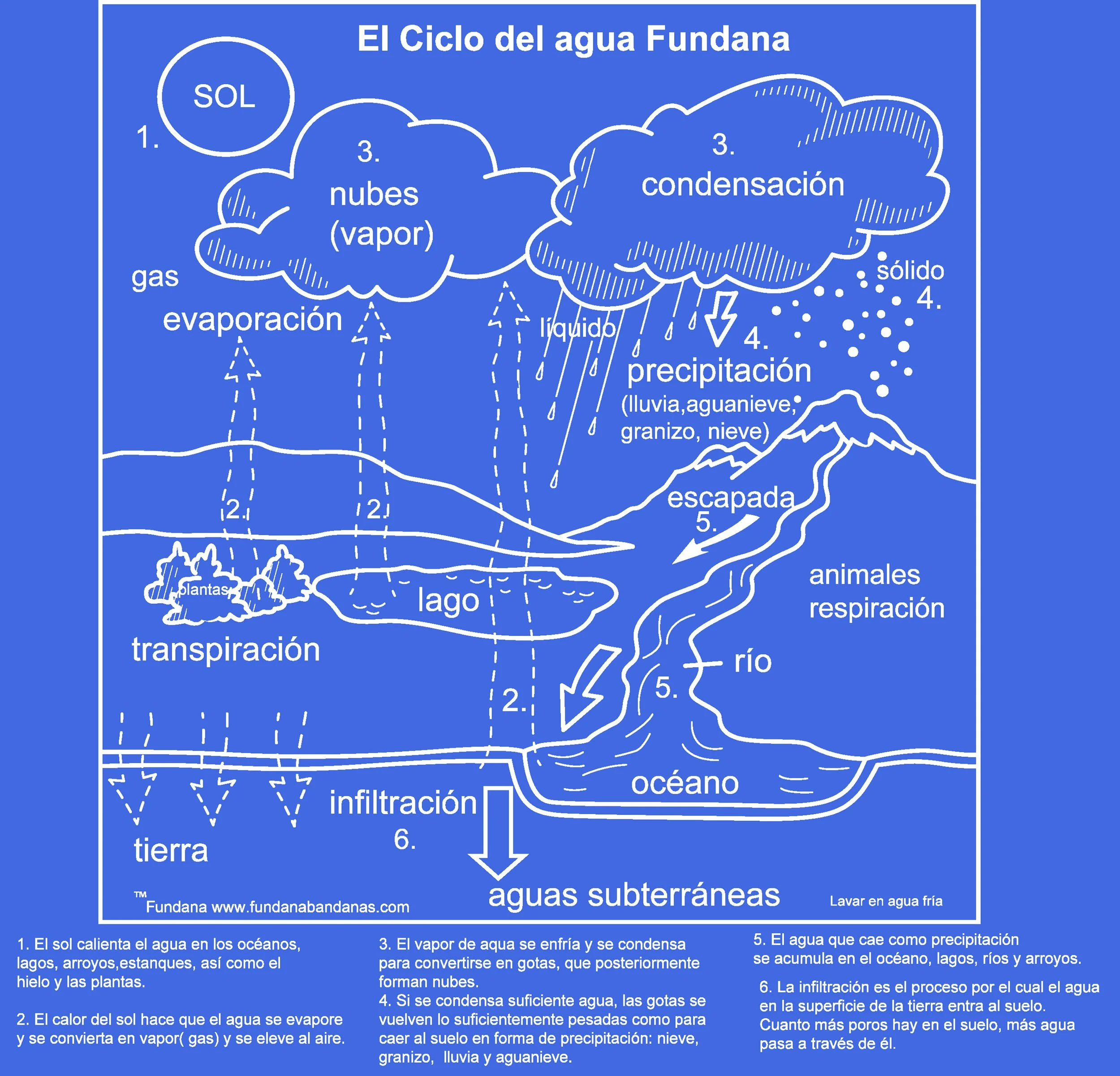 Water Cycle Fundana®