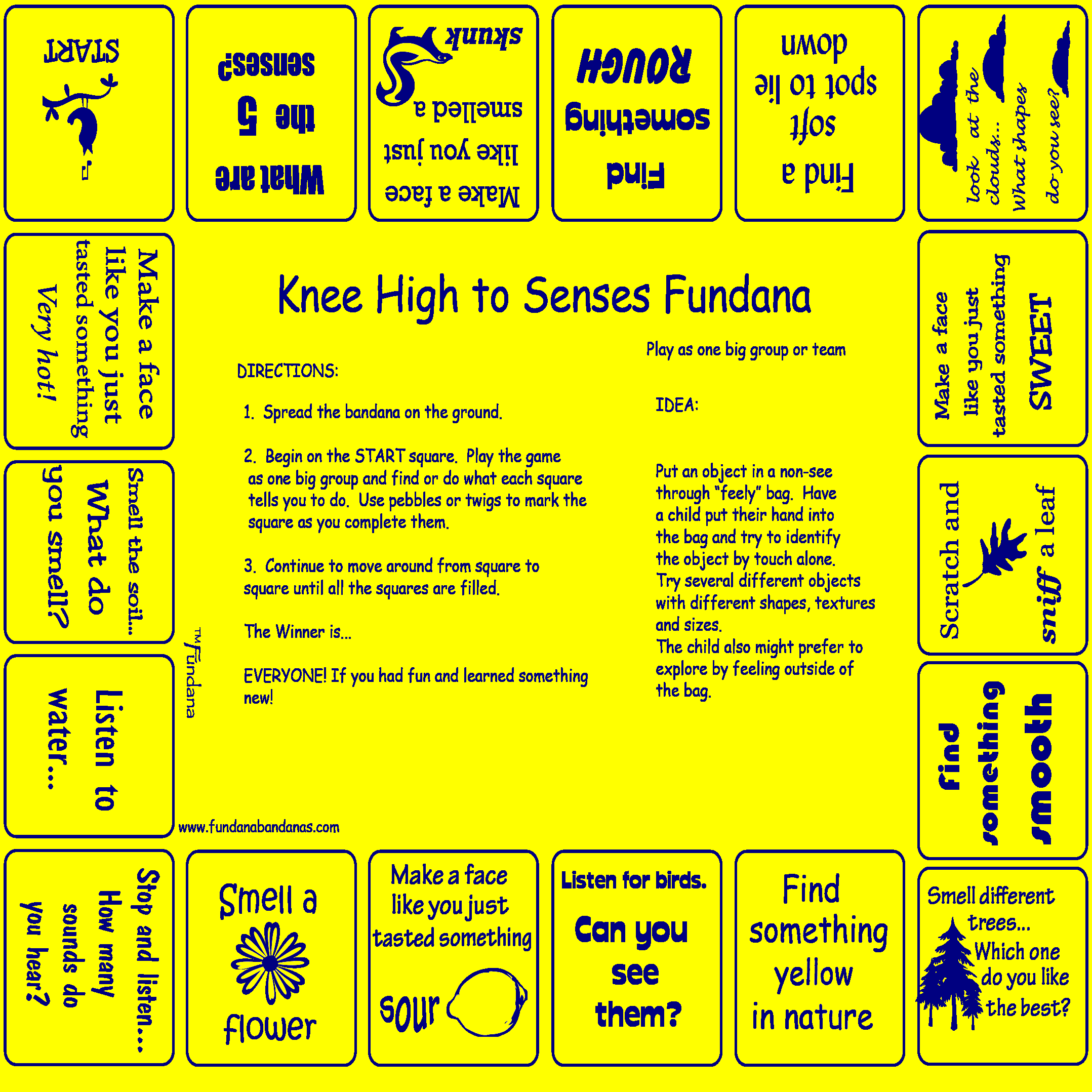 Knee High to Senses-yellow.png