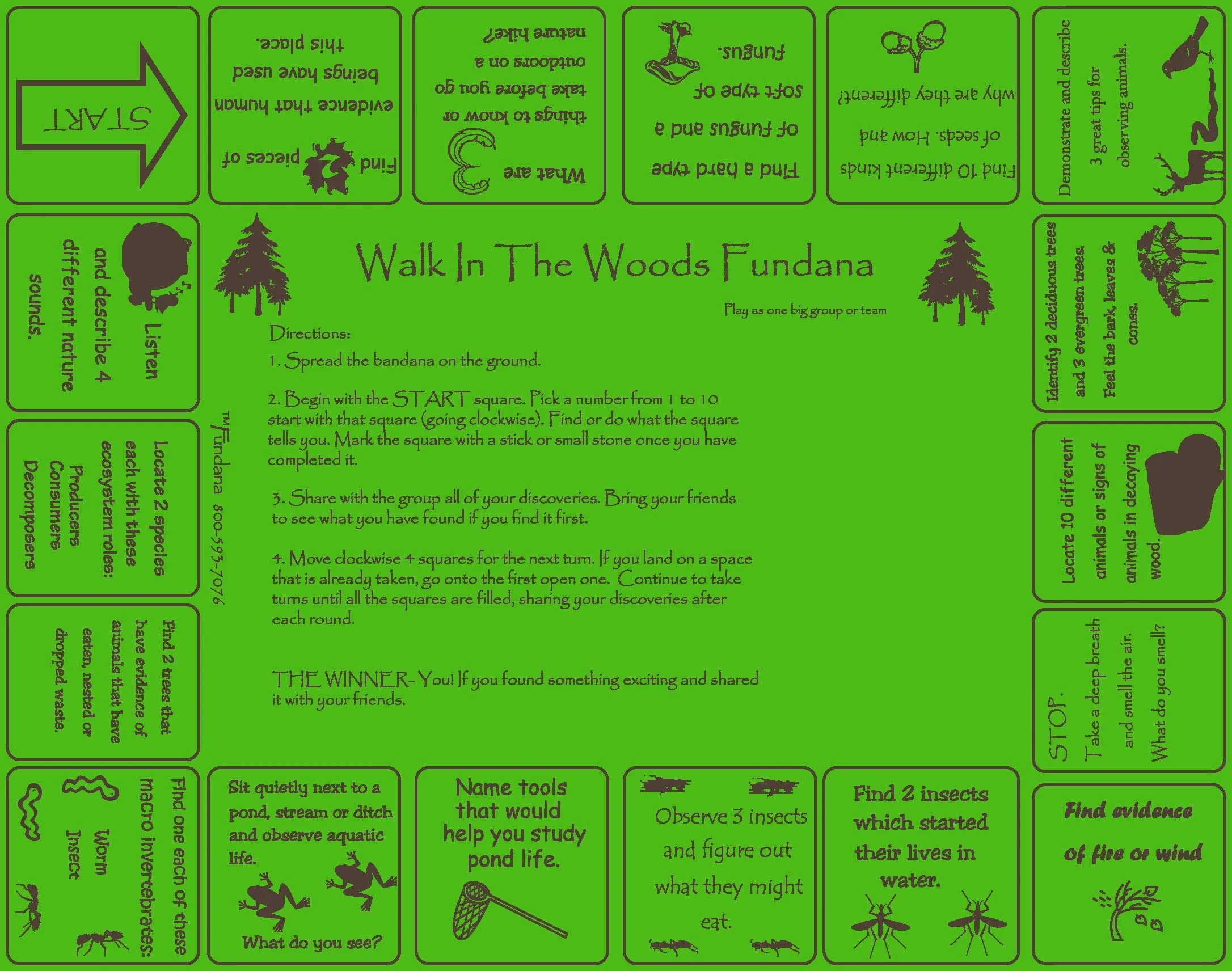 Walk in the woods large.jpg