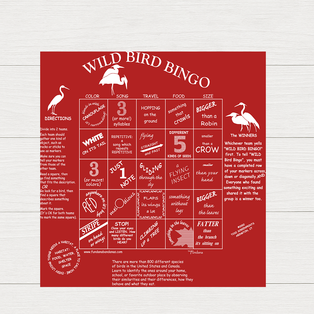 wild bird bingo-02-flat.png