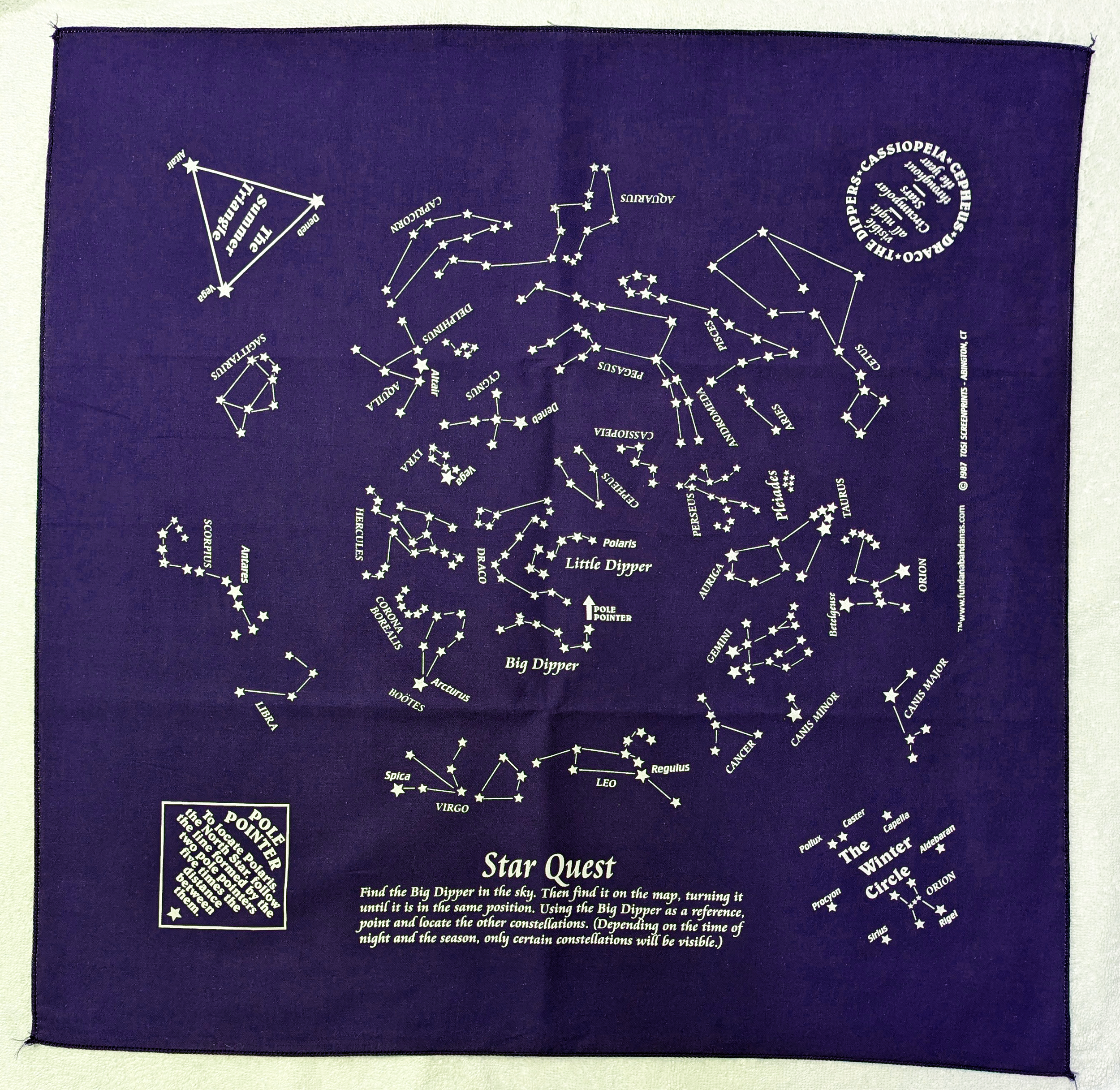 star quest navy white floor.png