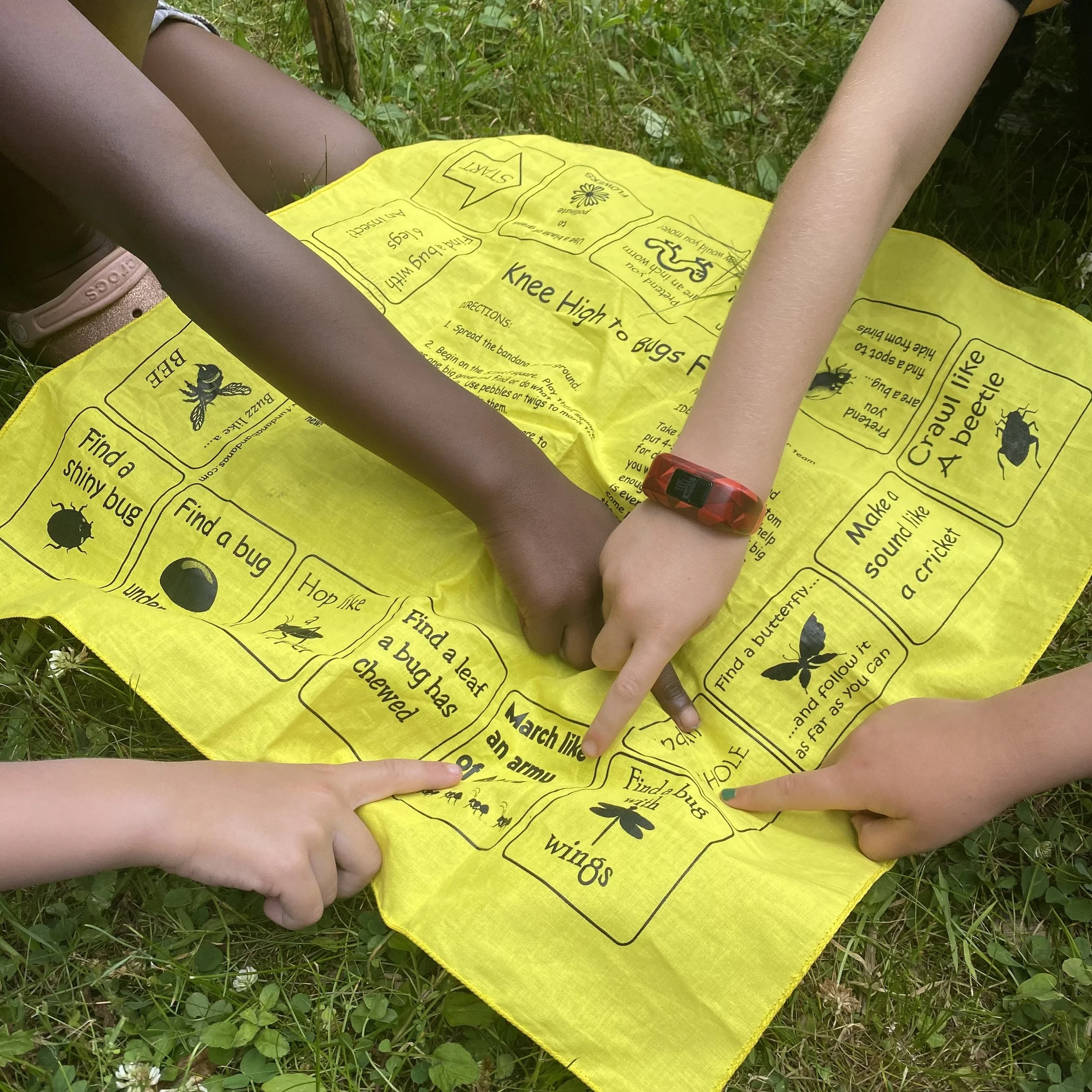 Knee High Bug Sunbury1.jpeg