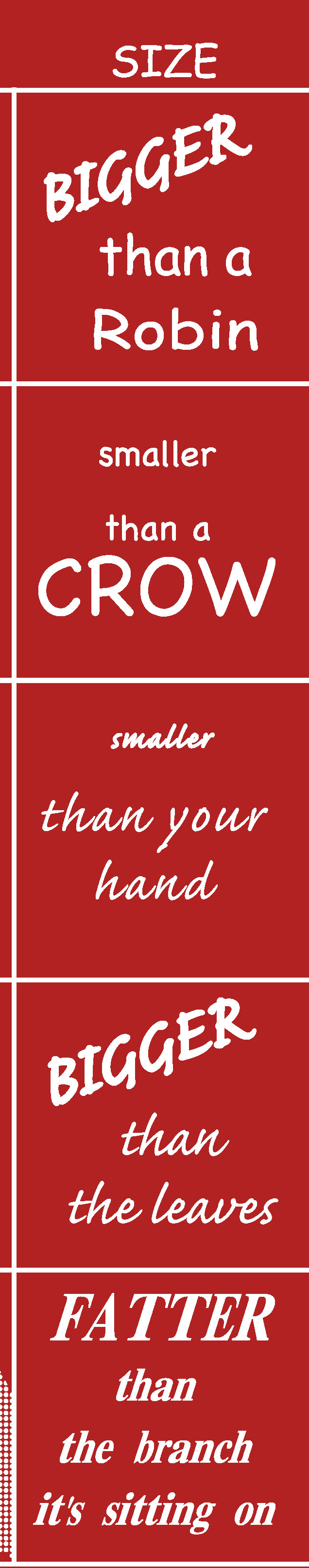 wild bird bingo-03-detail.png