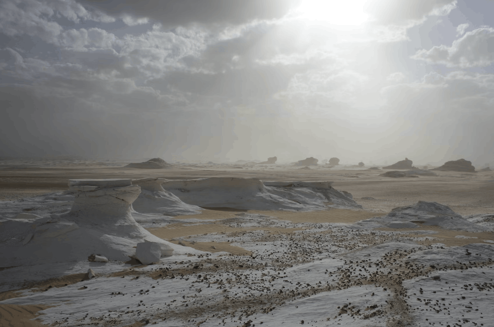 Screenshot 2026-04-11 at 8.31.28 PM.png