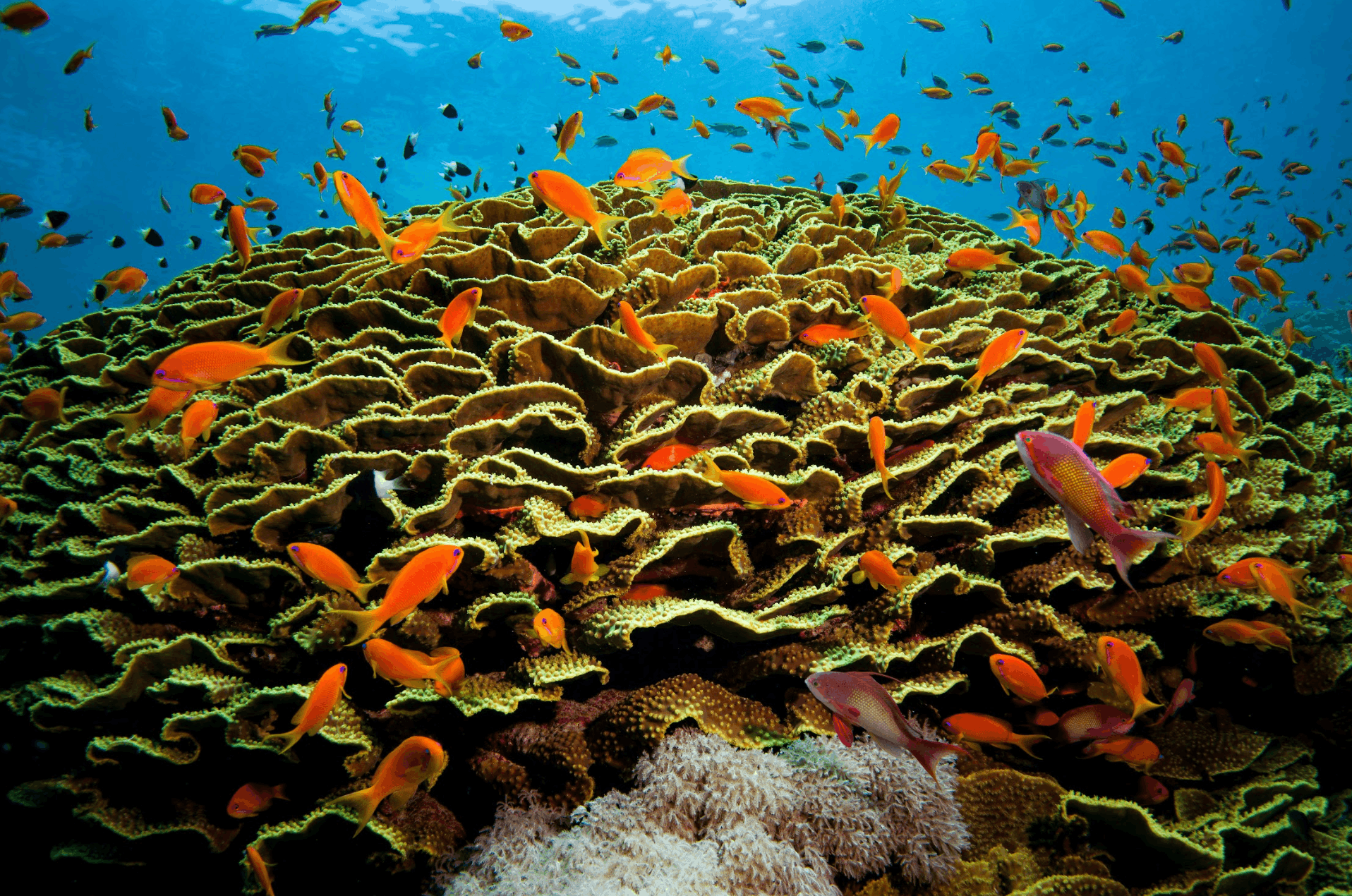 Screenshot 2026-04-10 at 7.36.48 PM.png