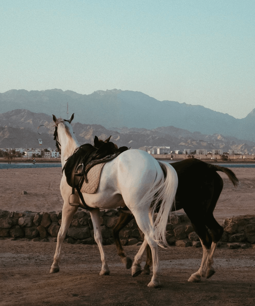 Screenshot 2026-04-10 at 7.36.55 PM.png